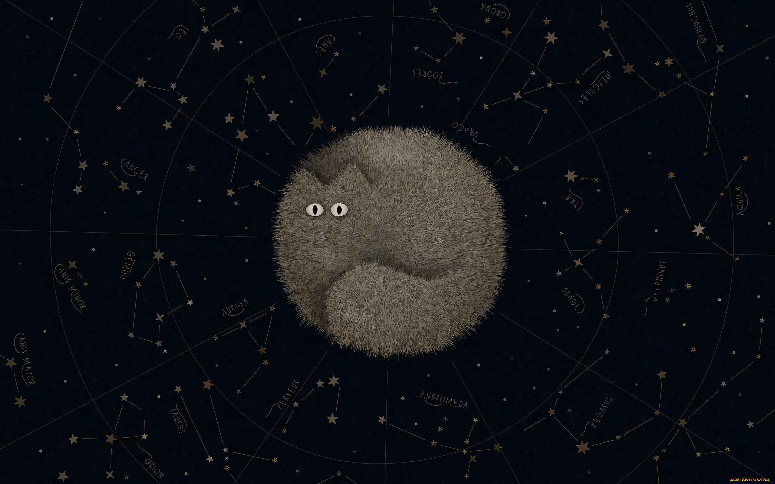 рисованное, vladstudio