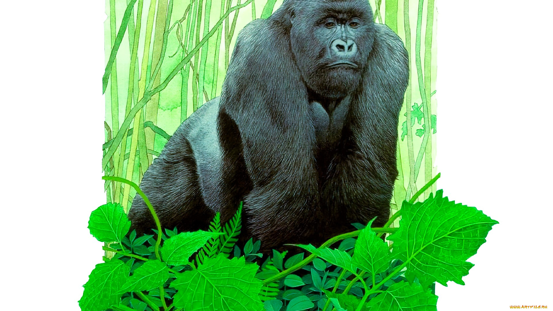 рисованное, животные, , обезьяны, обезьяна, горилла, листья, лес