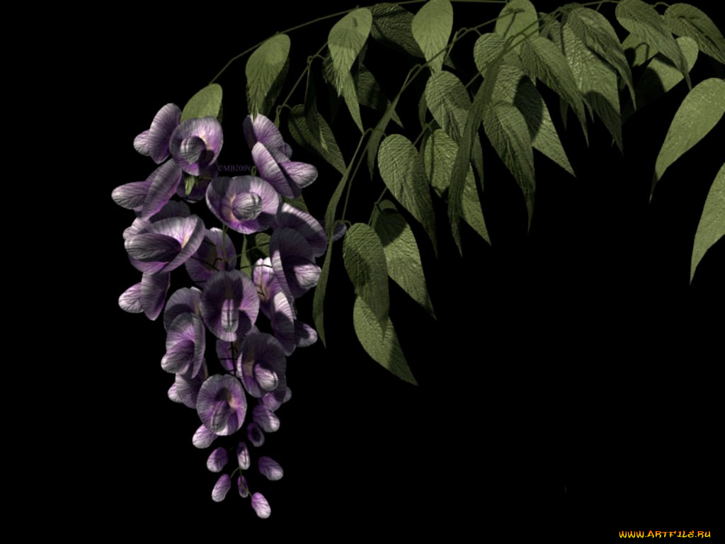 рисованные, цветы