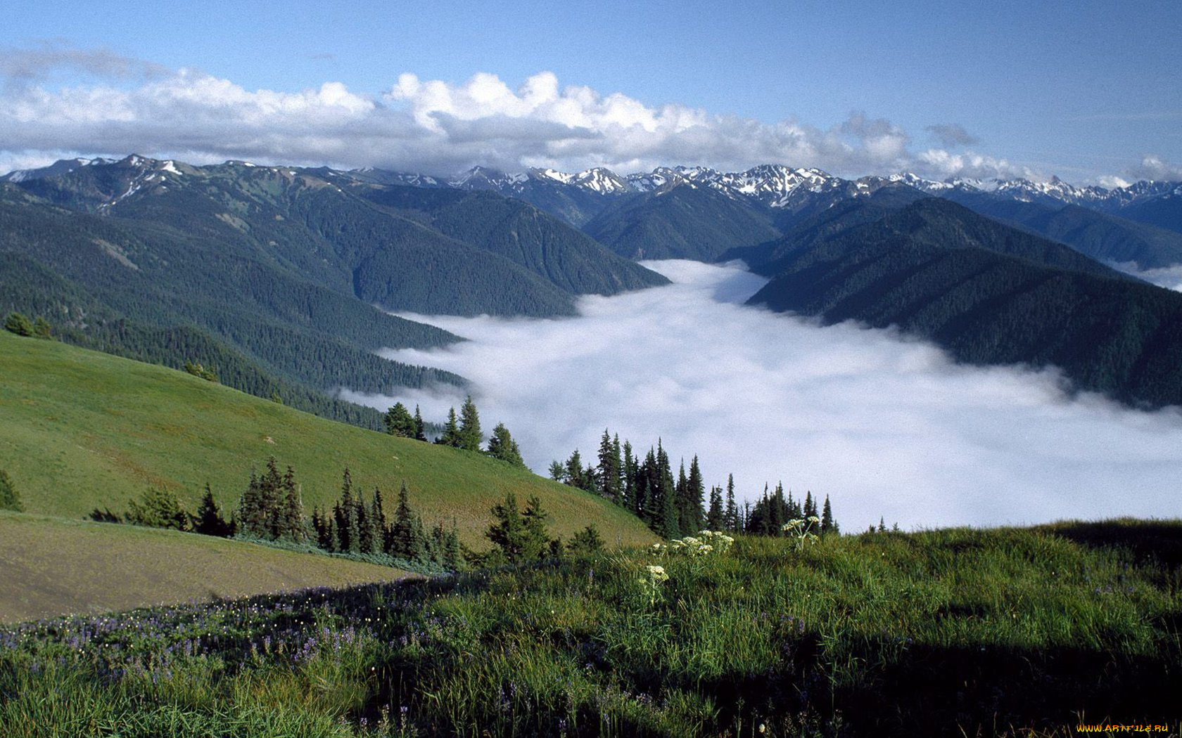 природа, горы