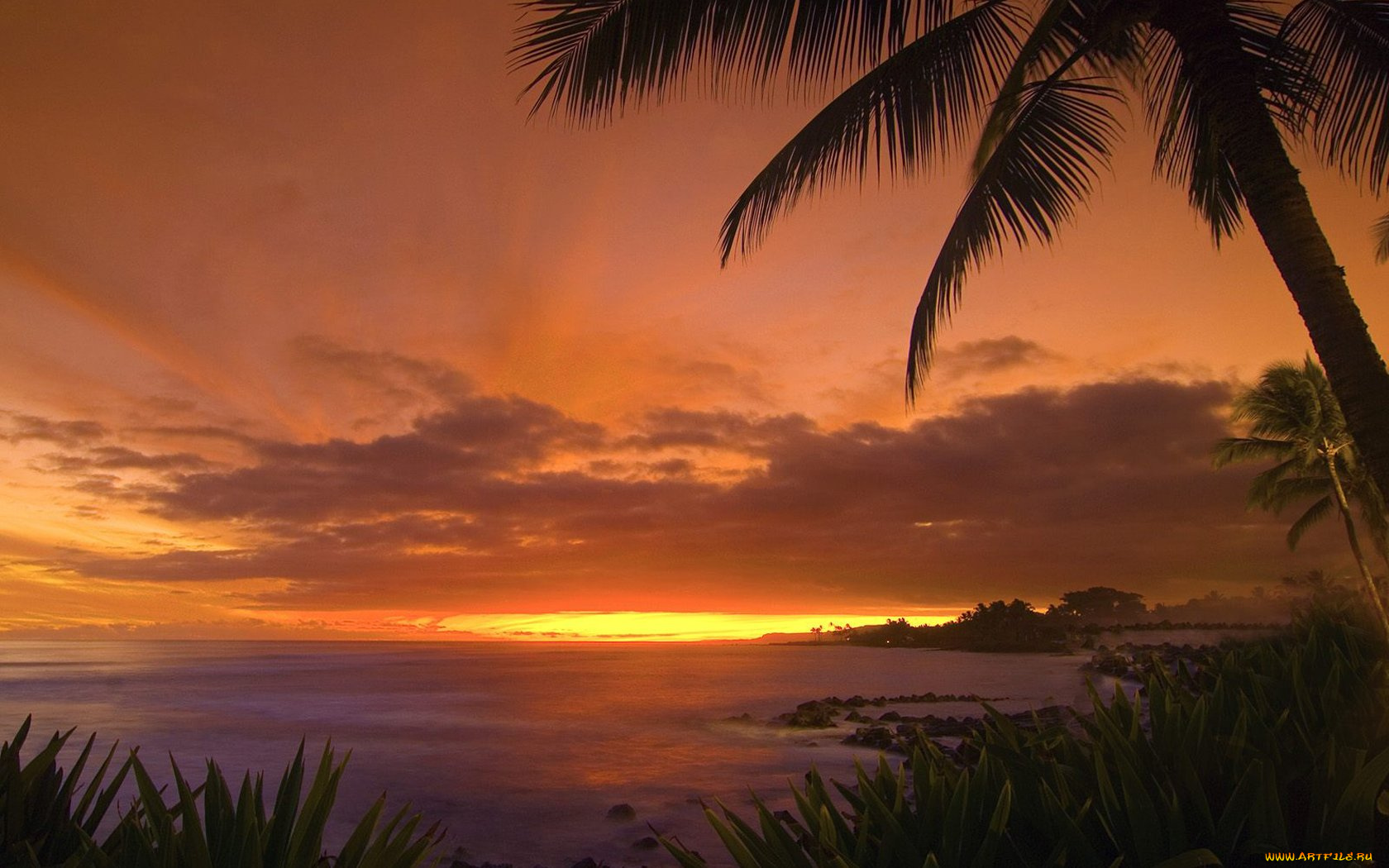 природа, восходы, закаты