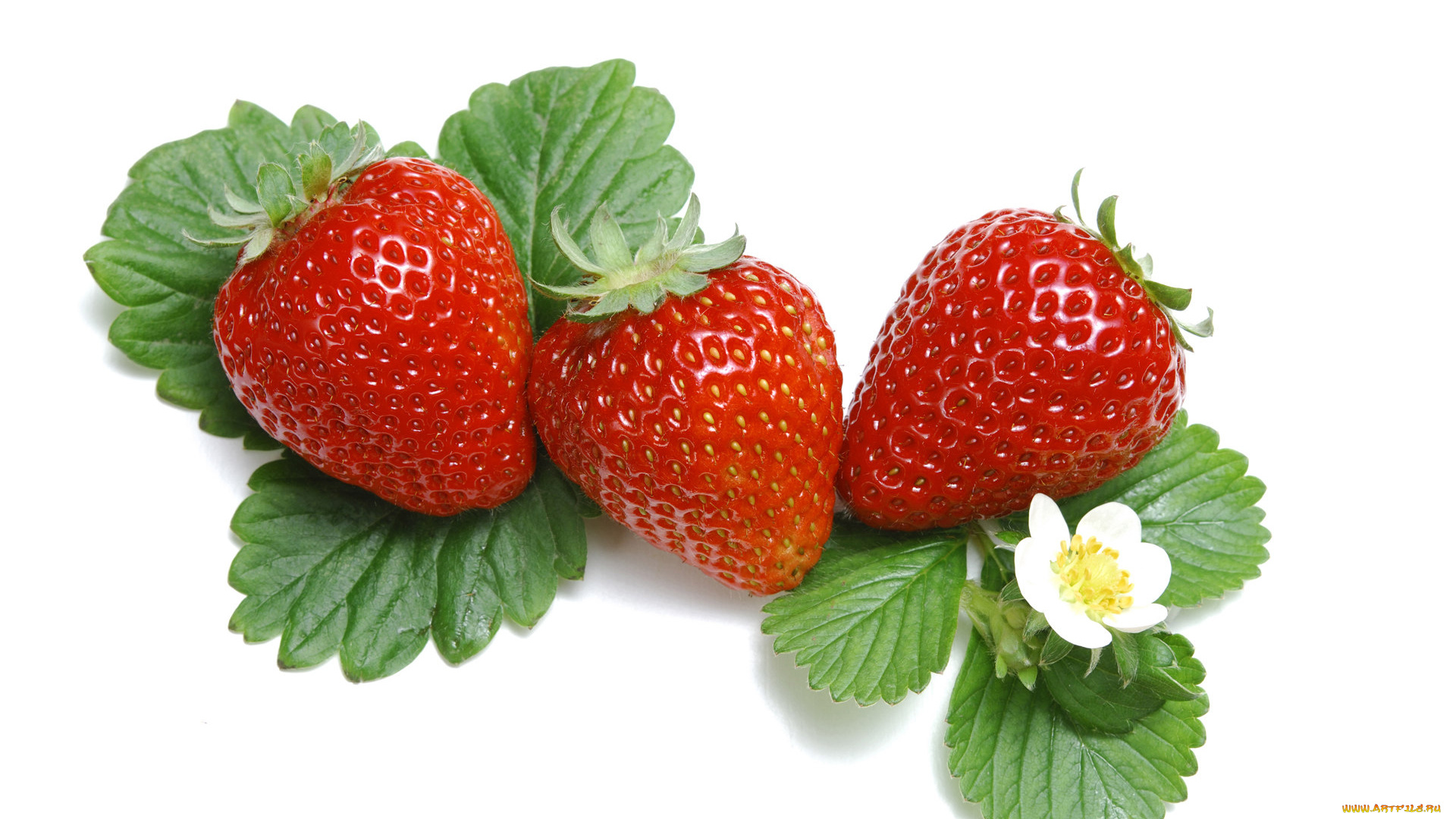 еда, клубника, земляника