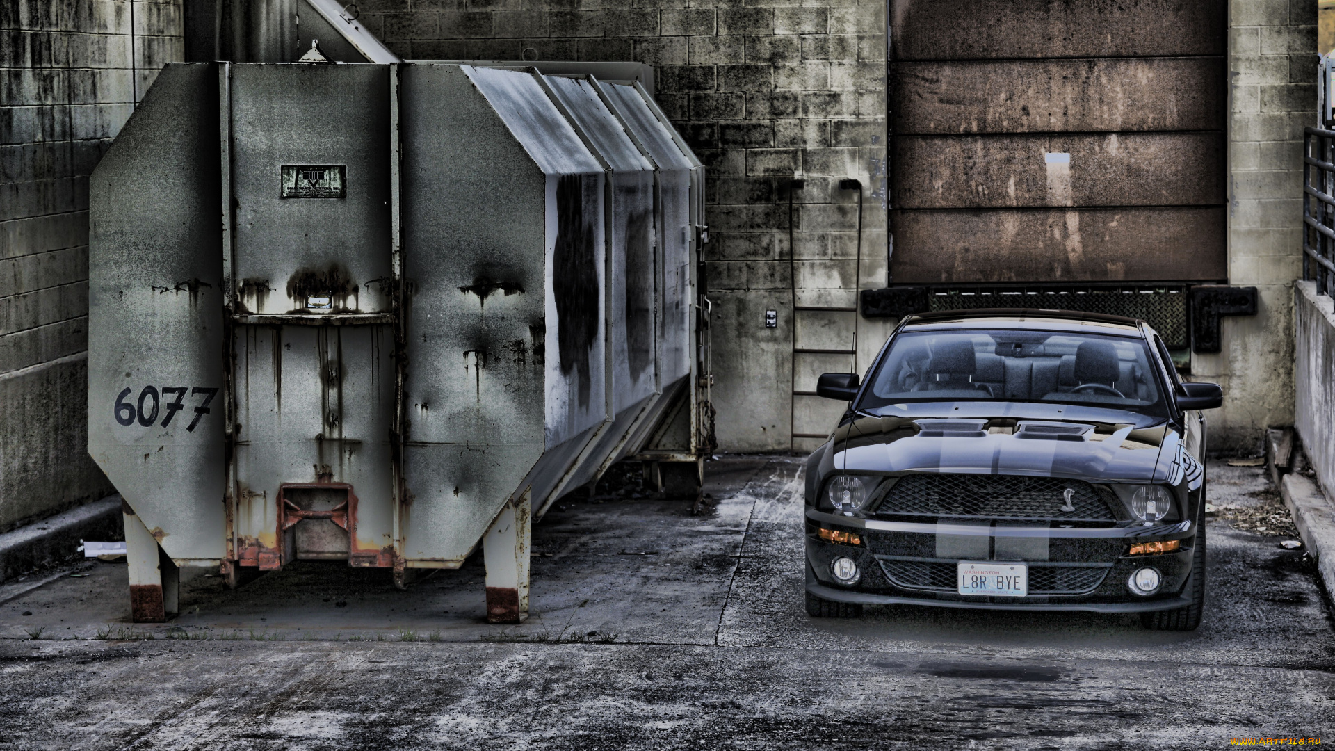 автомобили, mustang, контейнер