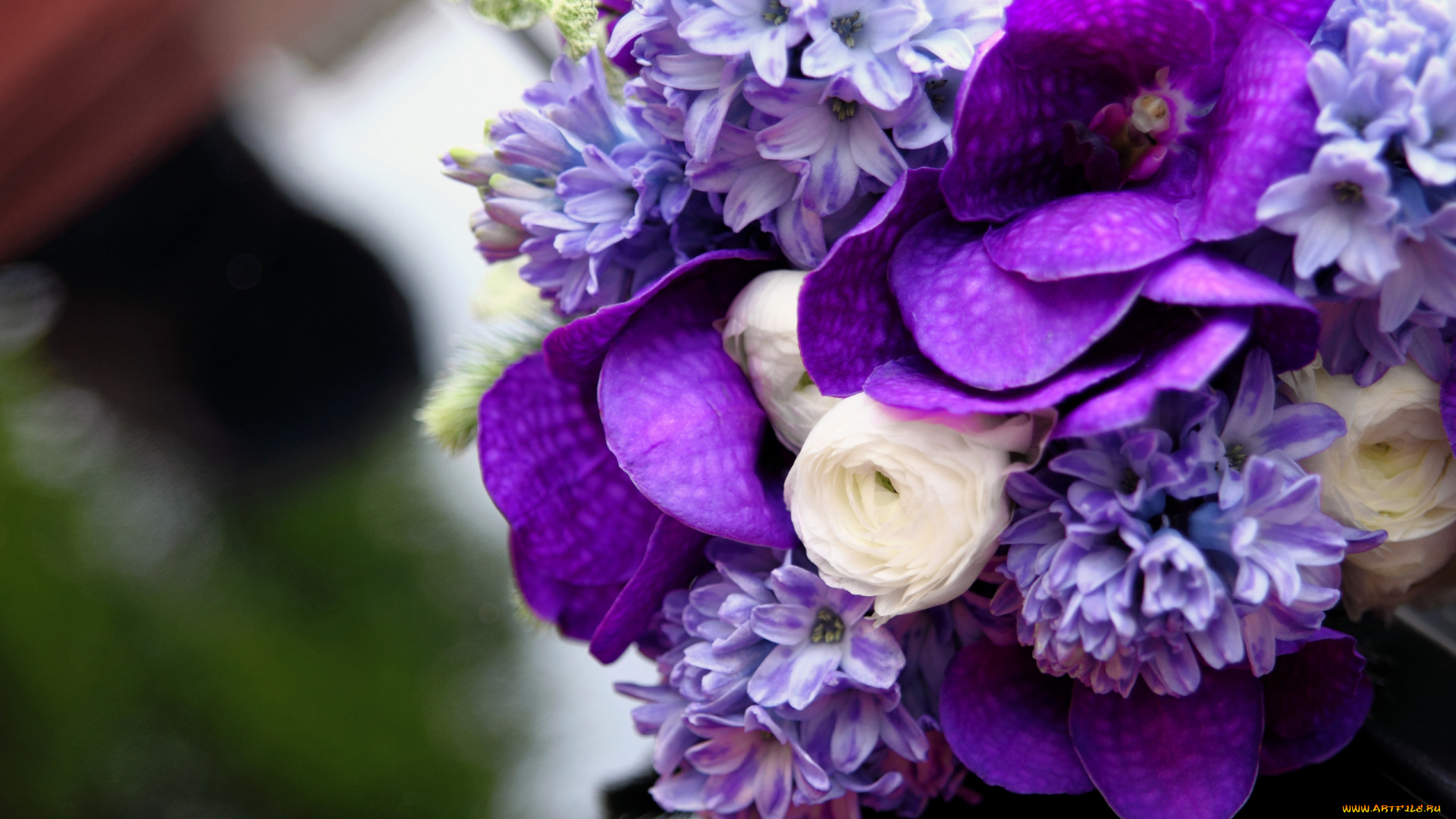 цветы, букеты, композиции, белый, синий, сиреневый