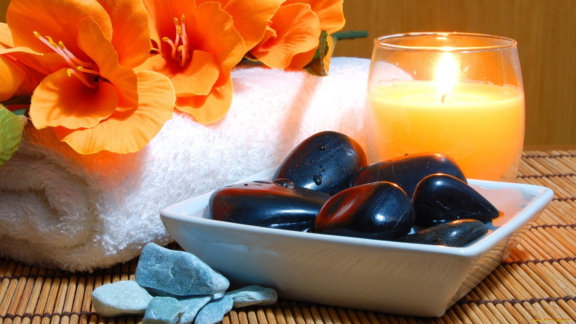 разное, ракушки, кораллы, декоративные, spa, камни, свеча, цветок