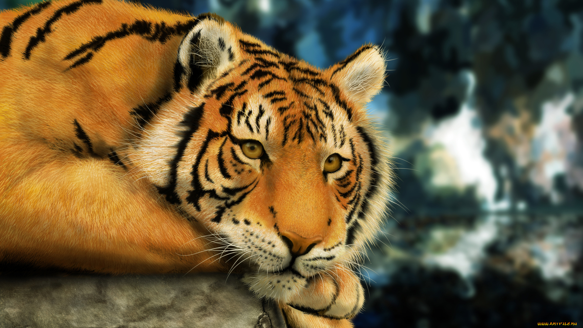 рисованные, животные, тигры, тигр, лежит, смотрит, морда, рисунок