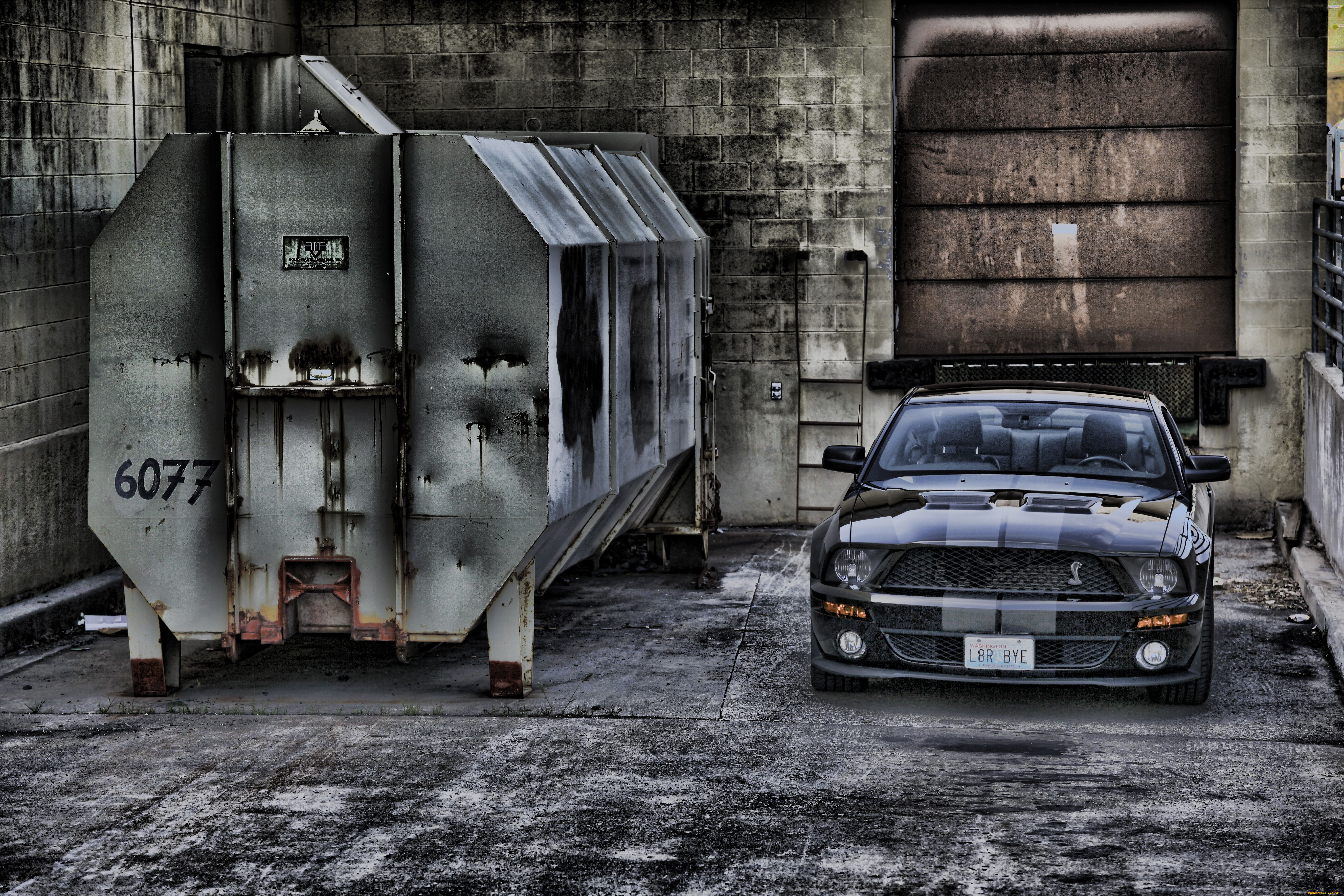 автомобили, mustang, контейнер