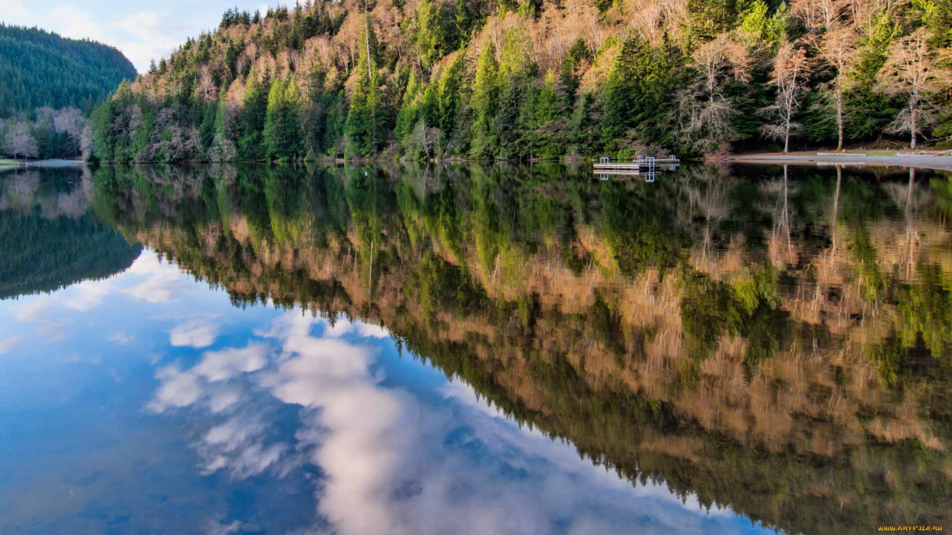 alice, lake, provincial, park, squamish, canada, природа, реки, озера, река, лес