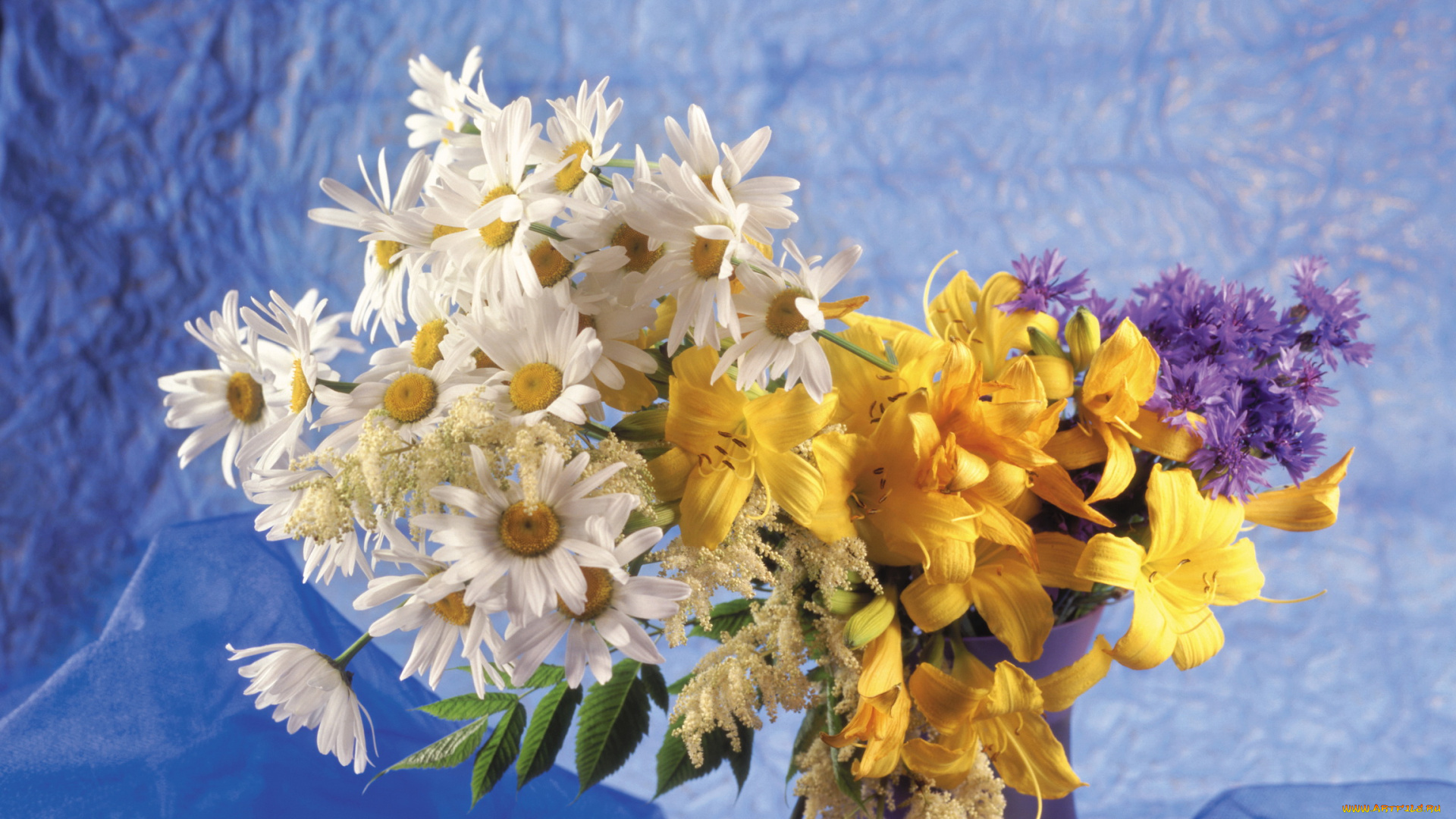 цветы, луговые, полевые, ромашки, букет