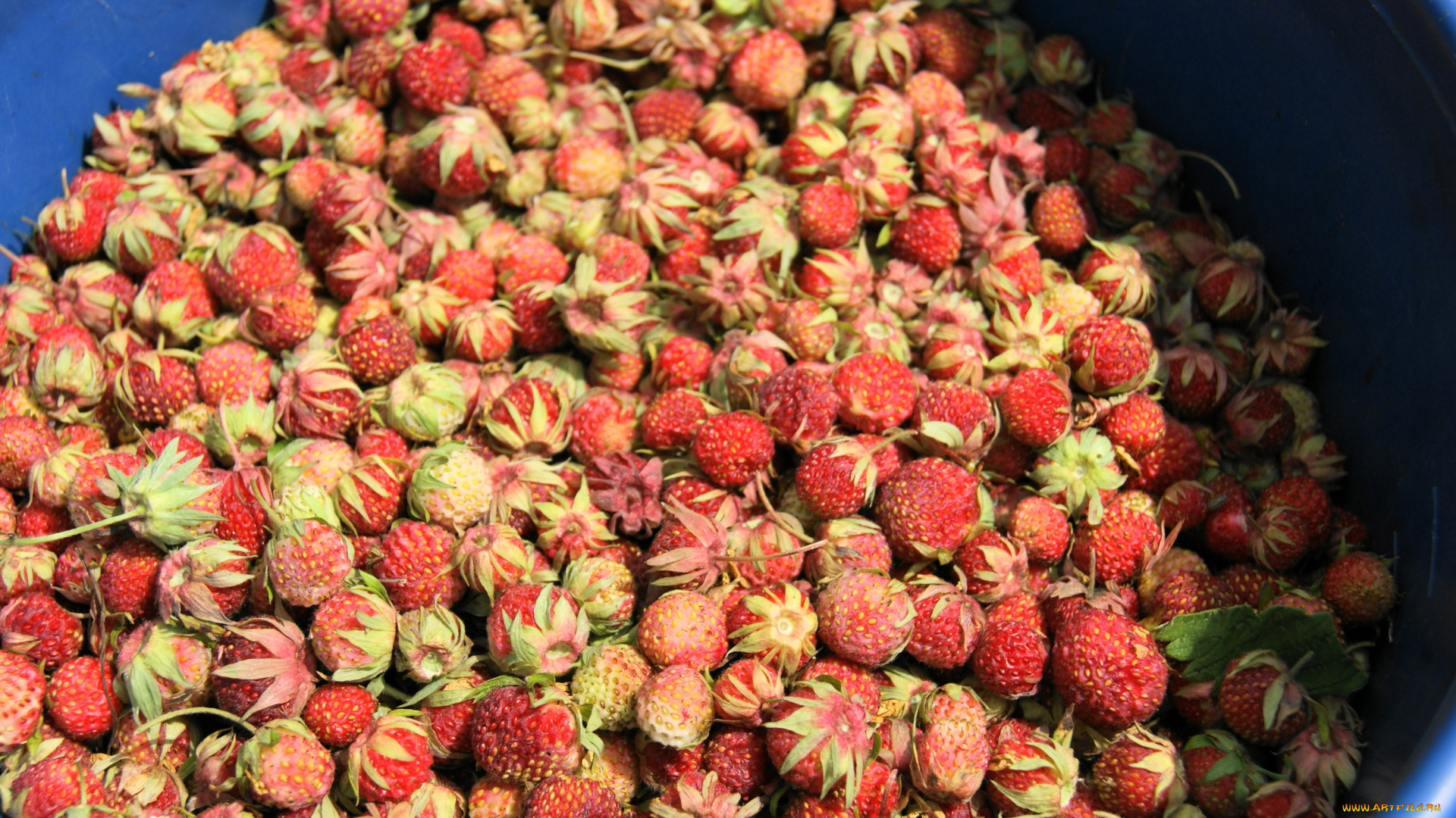 еда, клубника, земляника, дары, лета, ягоды