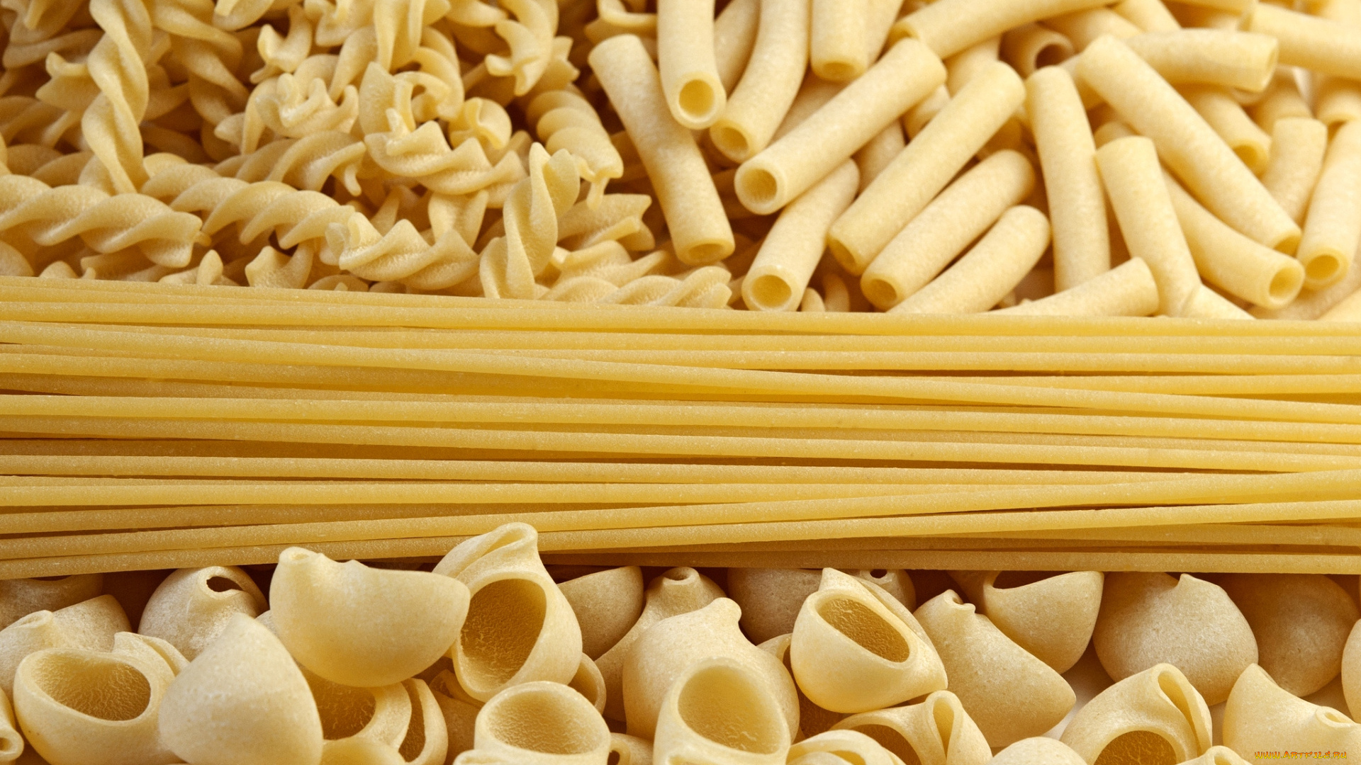 еда, макаронные, блюда, ракушки, спагетти