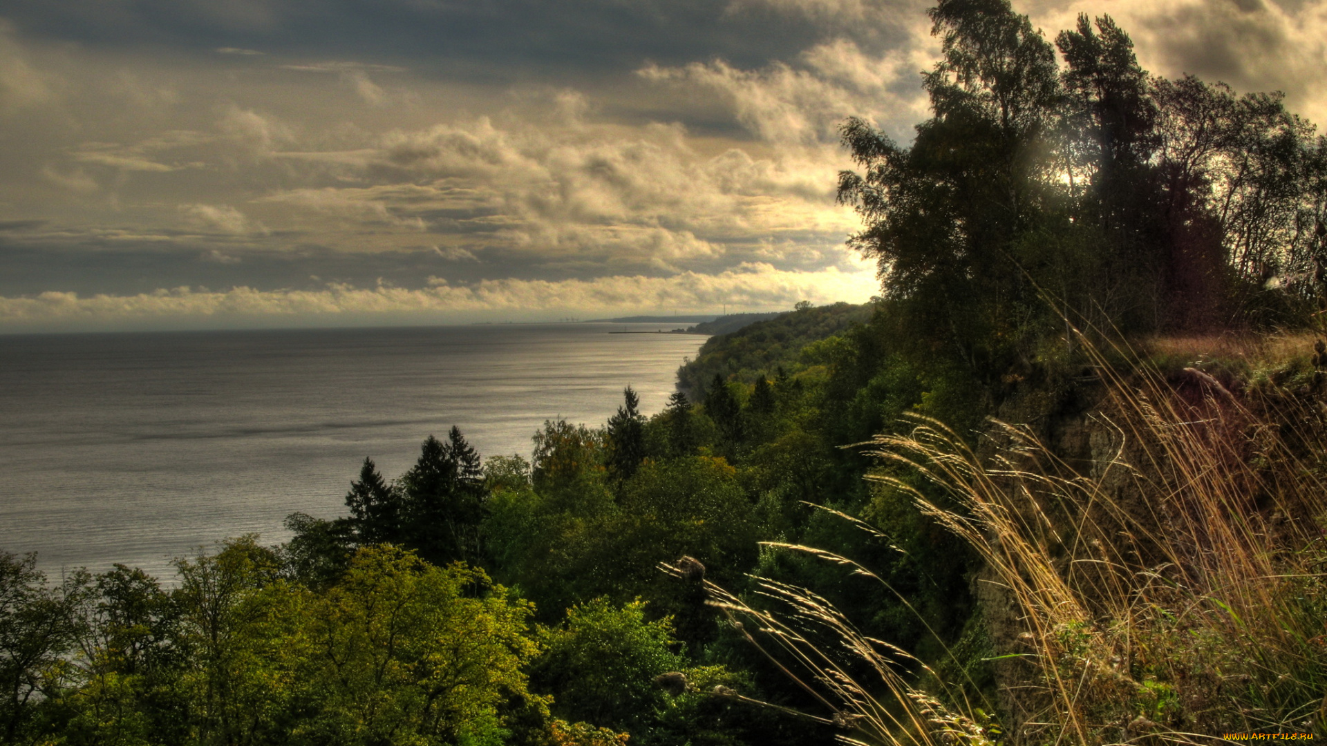 эстония, ида, вирумаа, природа, реки, озера, облака, кусты, река