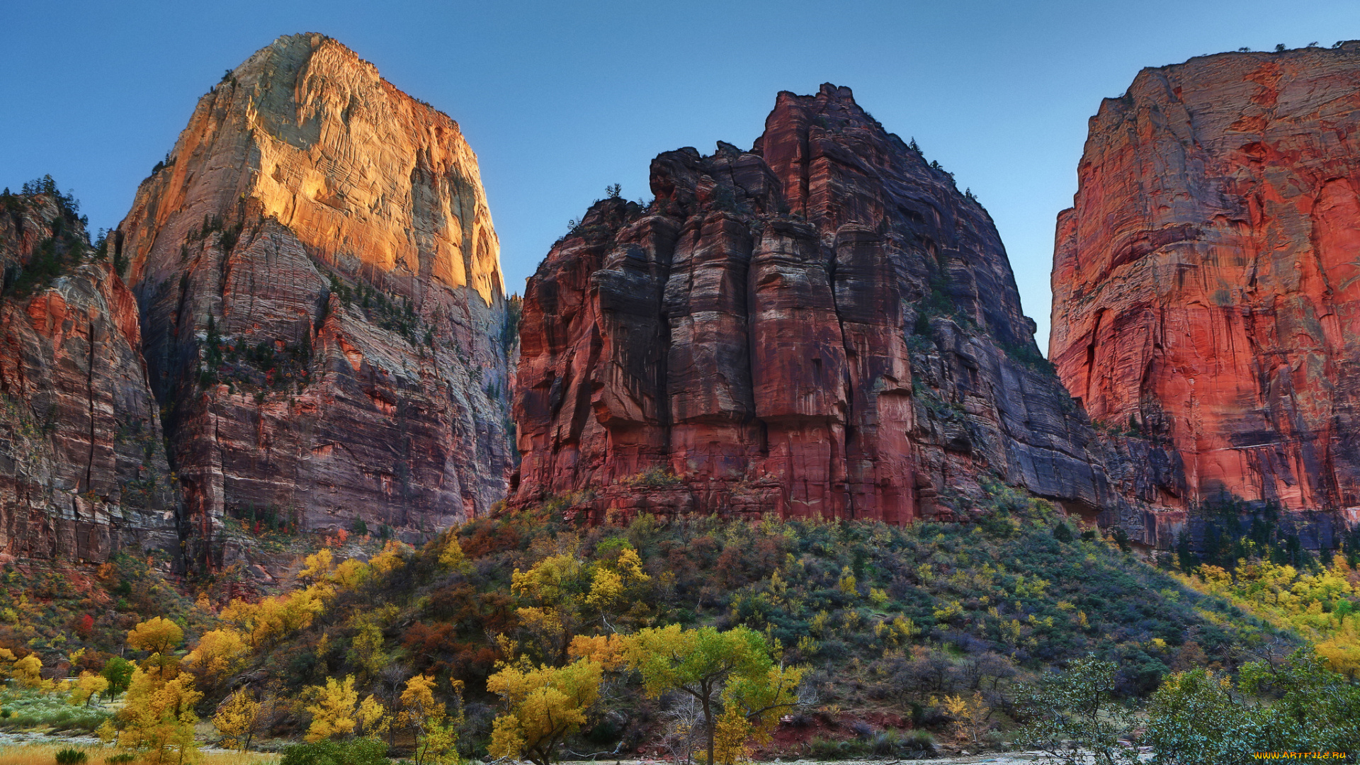 национальный, парк, зайон, природа, горы, скалы, небо, осень, кусты, деревья