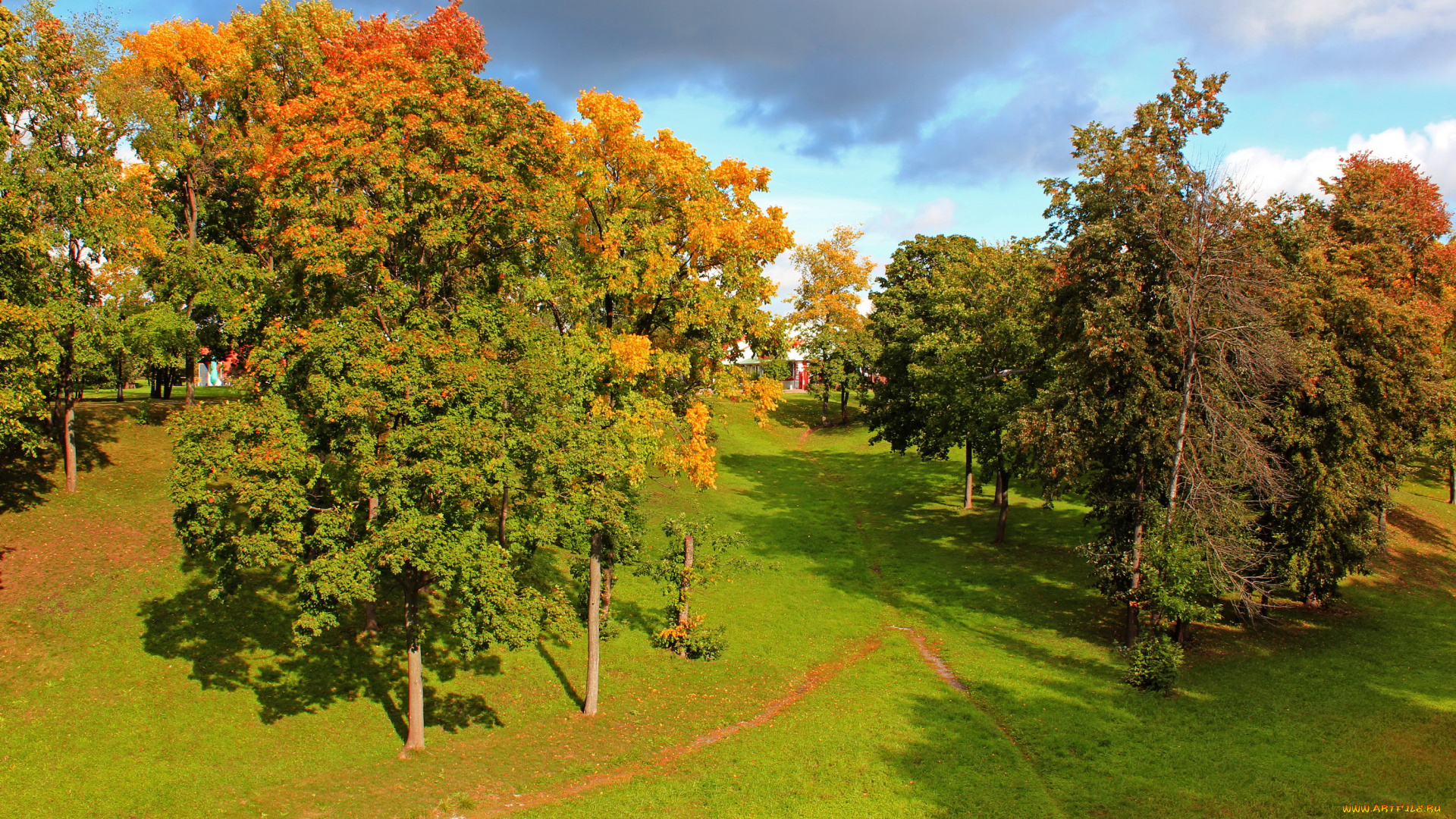 осень, царицыно, природа, деревья, пейзаж