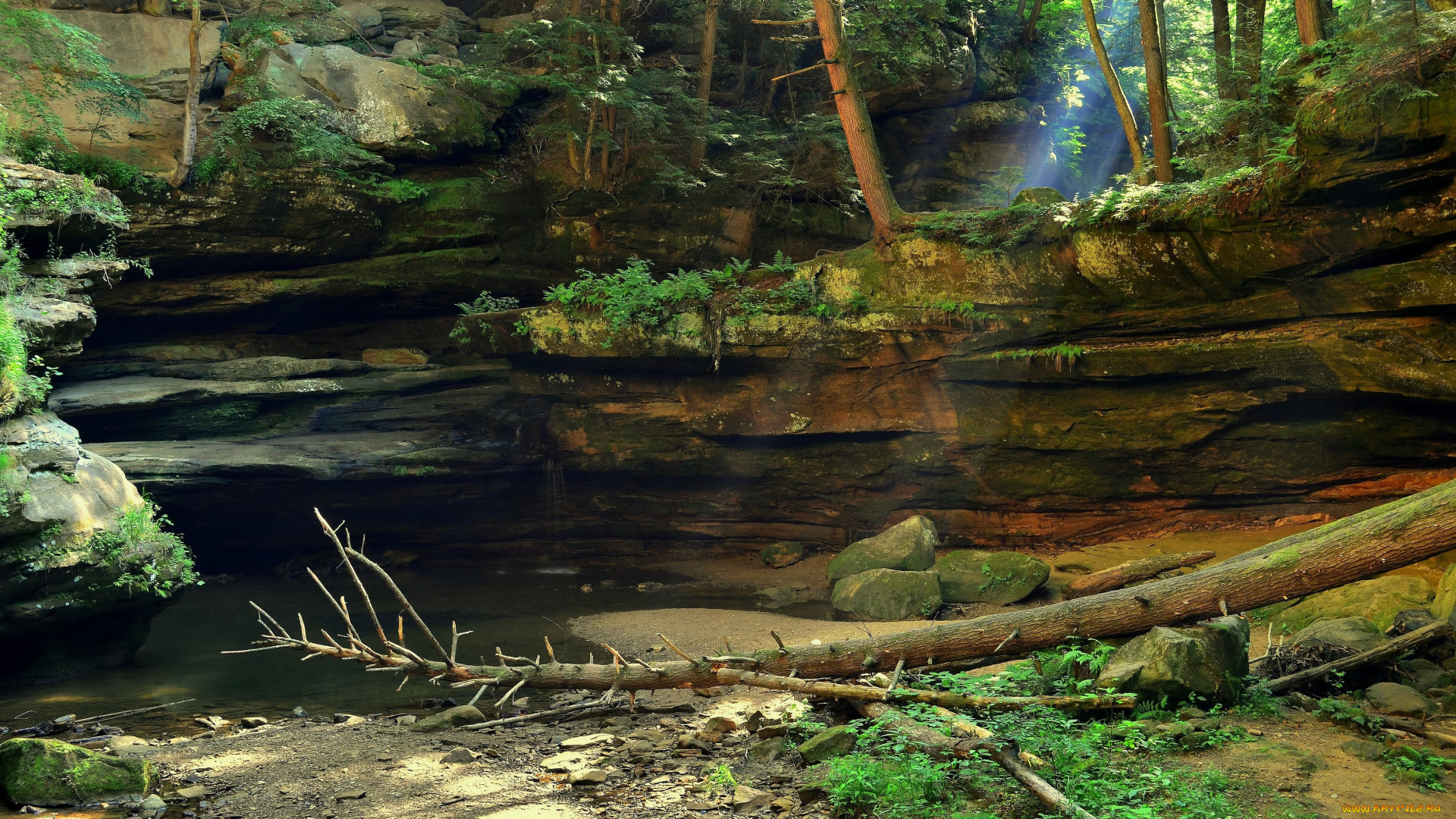 пейзаж, природа, лес, скалы, лучи