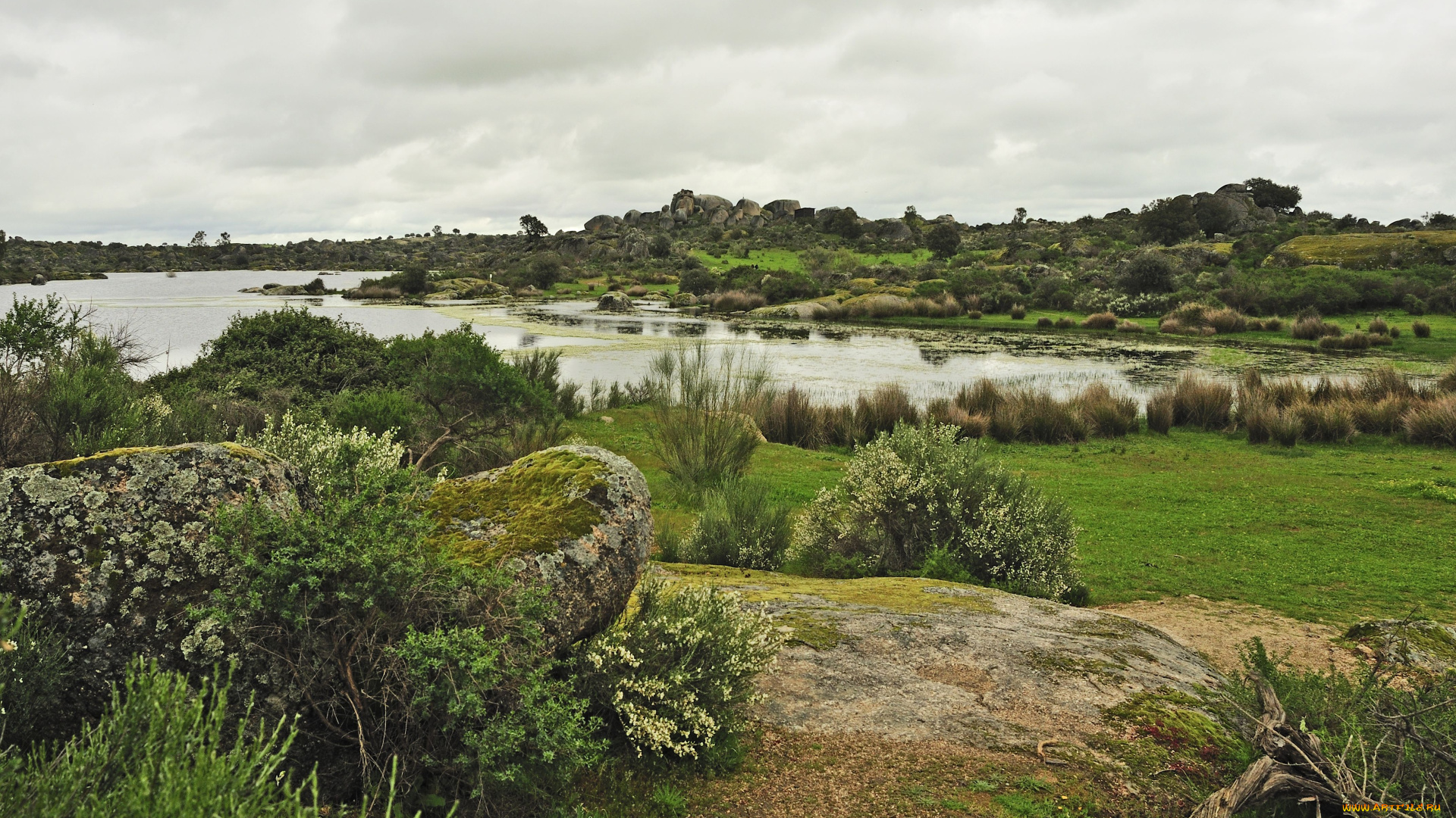 пейзаж, природа, реки, озера, озеро, камни, поляна, горизонт