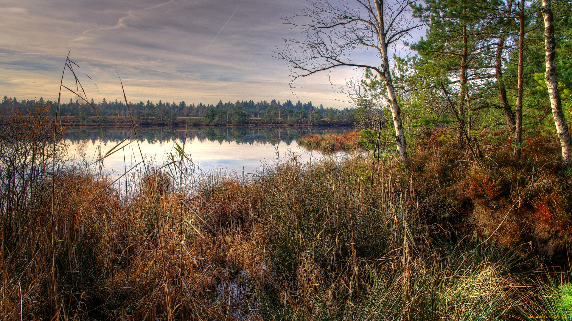 пейзаж, природа, реки, озера, озеро, трава, деревья