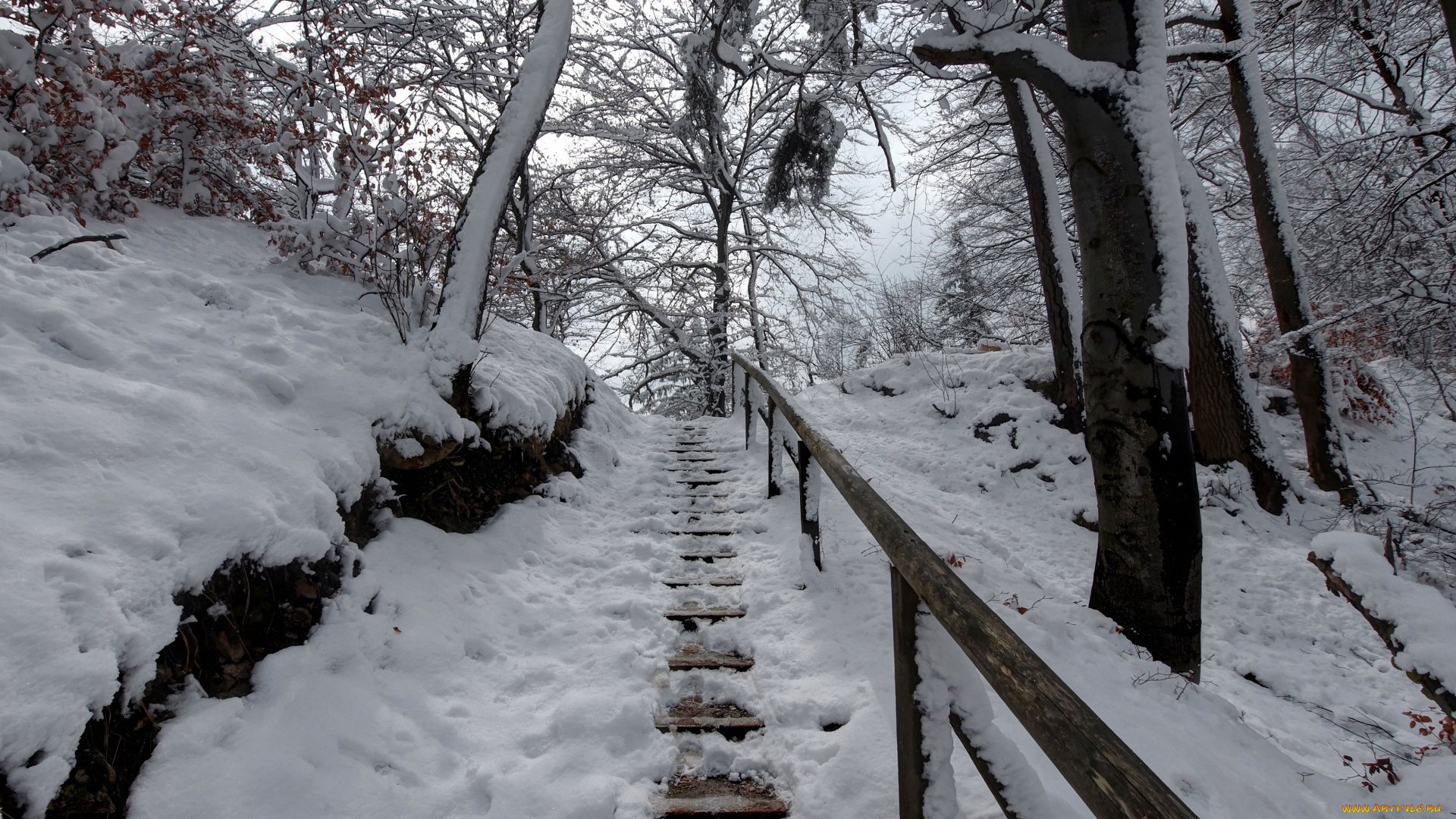 пейзаж, природа, зима, деревья, лес, ступени, с, перилами