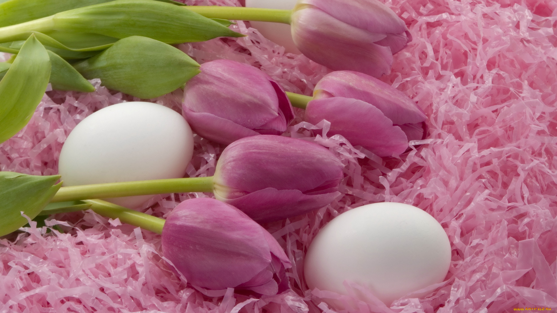 праздничные, пасха, яйца, тюльпаны