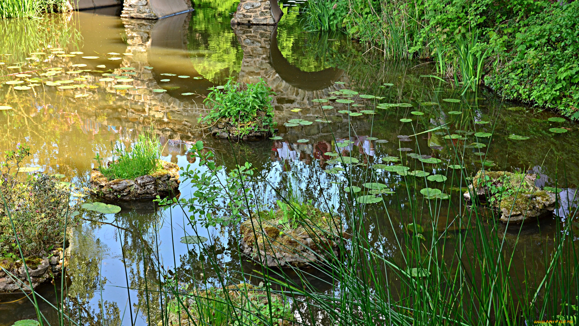 природа, реки, озера, мост, водоём, растительность