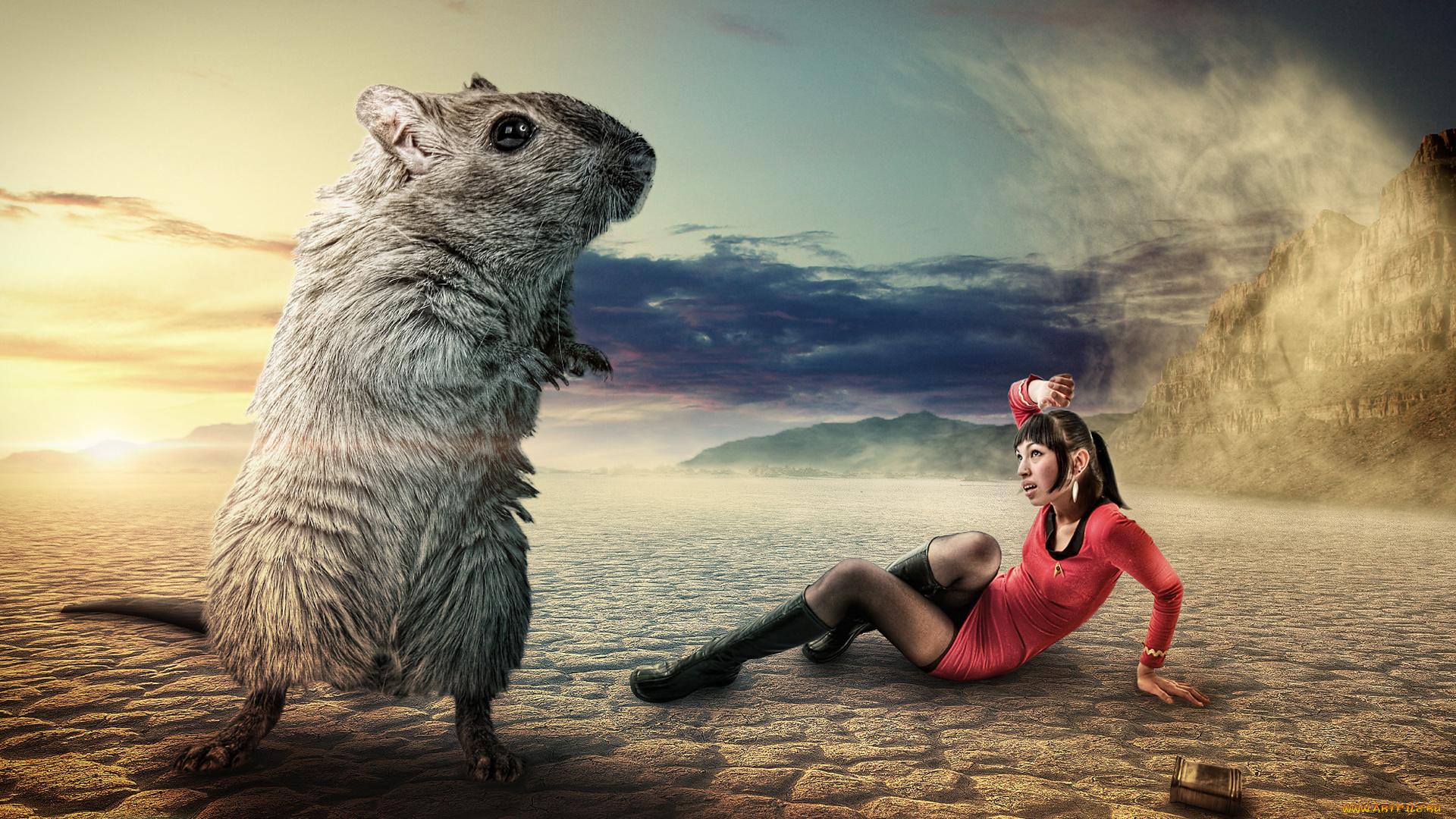 разное, компьютерный, дизайн, большая, мышь