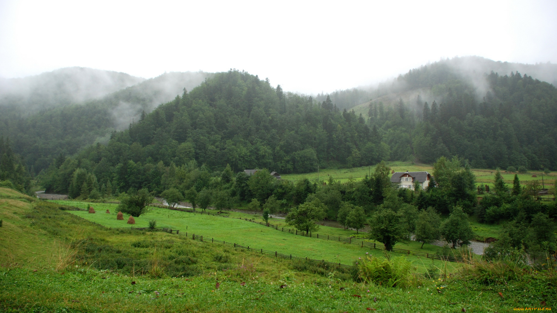 украина, карпаты, львовская, обл, природа, пейзажи, дымка, луга, горы