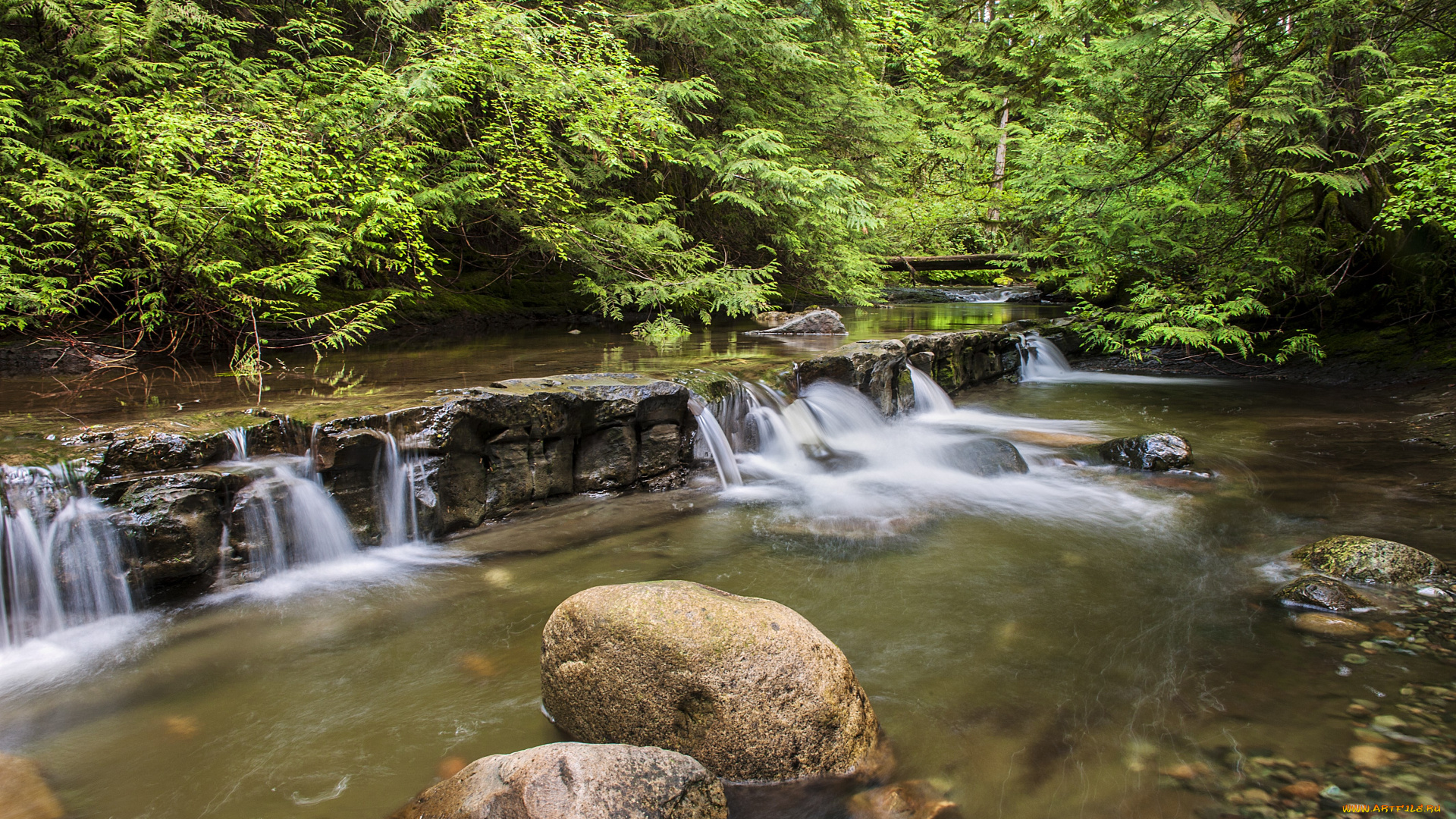 водопад, природа, водопады, пейзаж, лес, камни, деревья