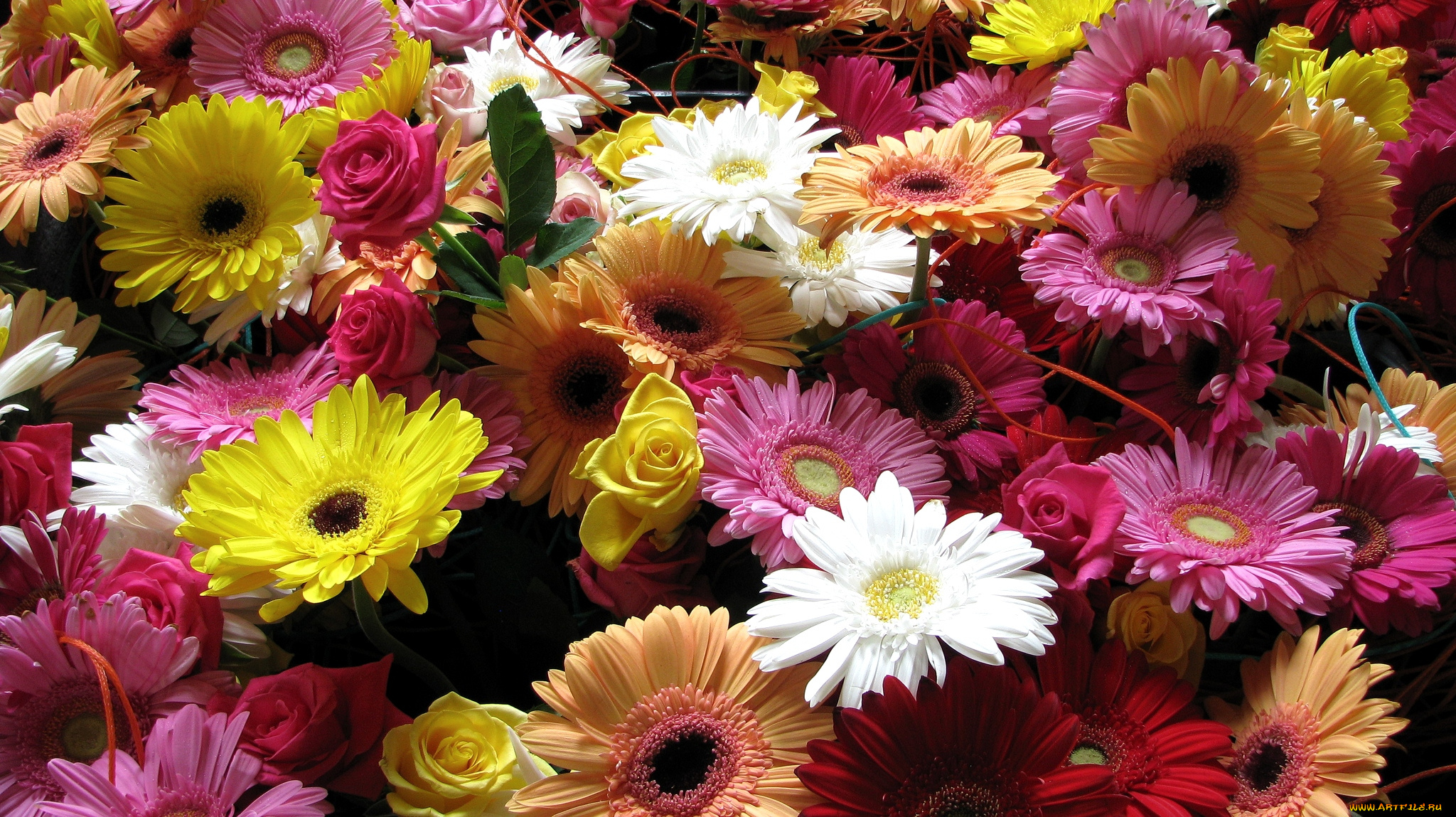 цветы, разные, вместе, розы, герберы, разноцветный, много