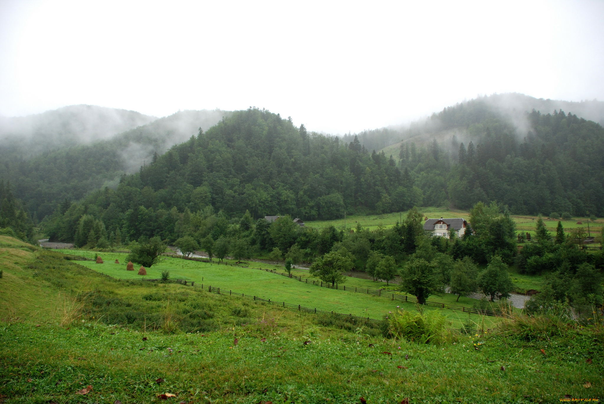 украина, карпаты, львовская, обл, природа, пейзажи, дымка, луга, горы