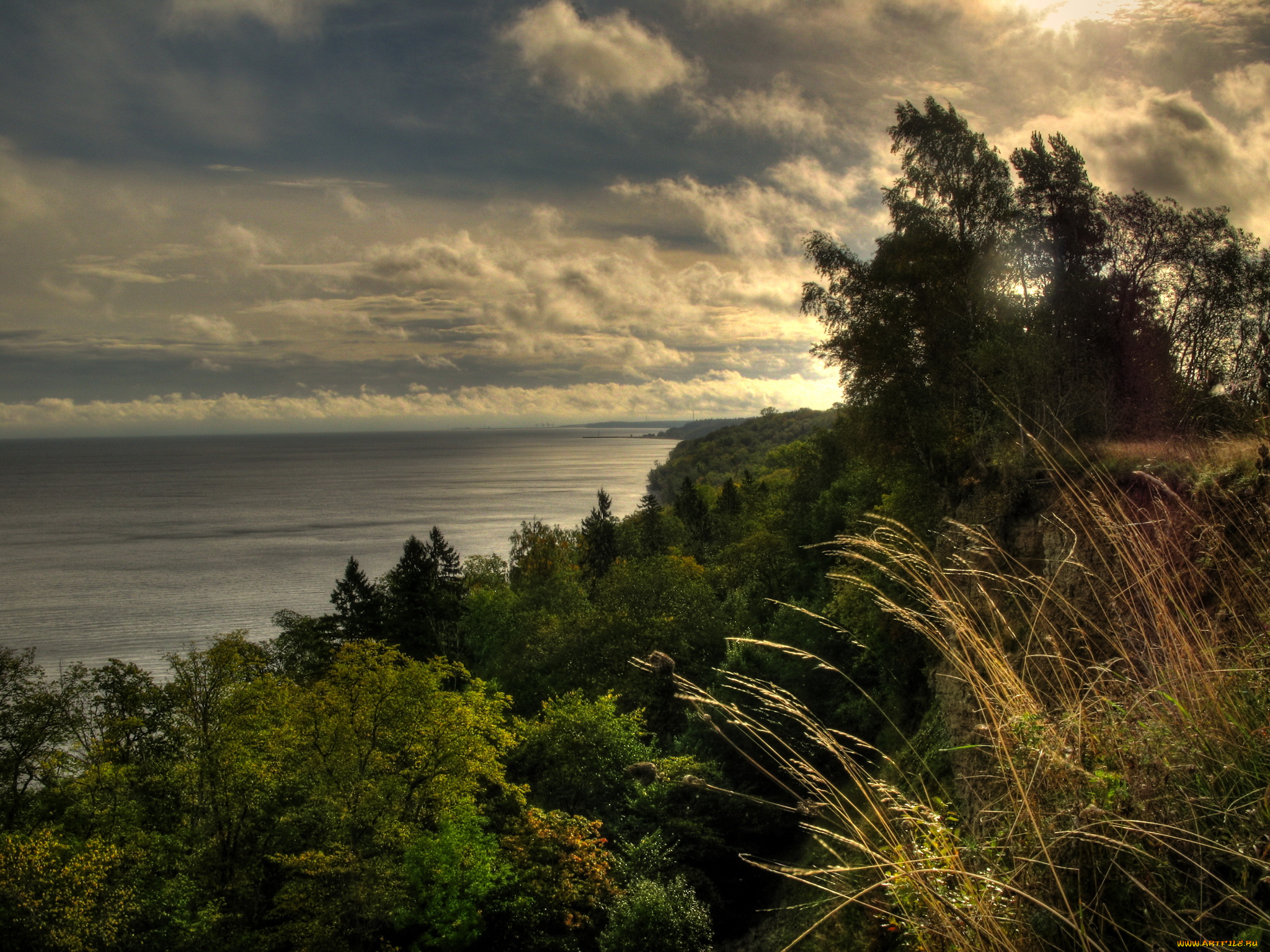 эстония, ида, вирумаа, природа, реки, озера, облака, кусты, река