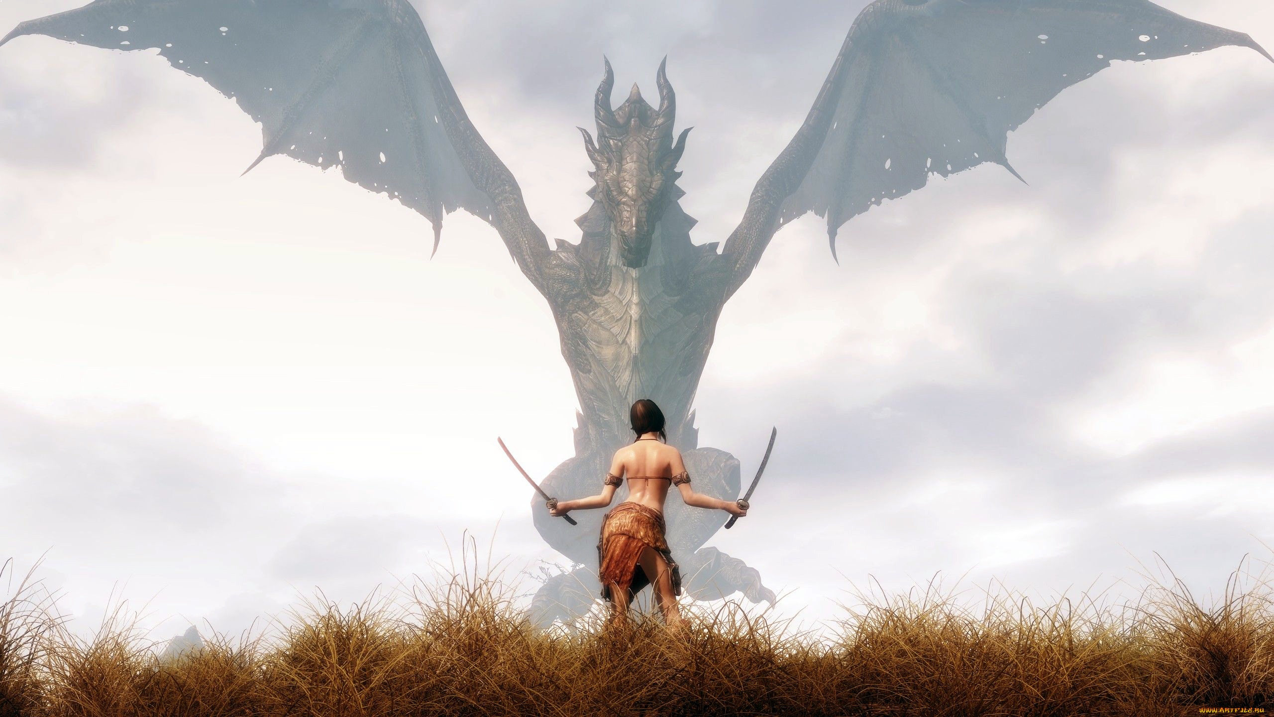 the, elder, scrolls, skyrim, видео, игры, дракон, трава