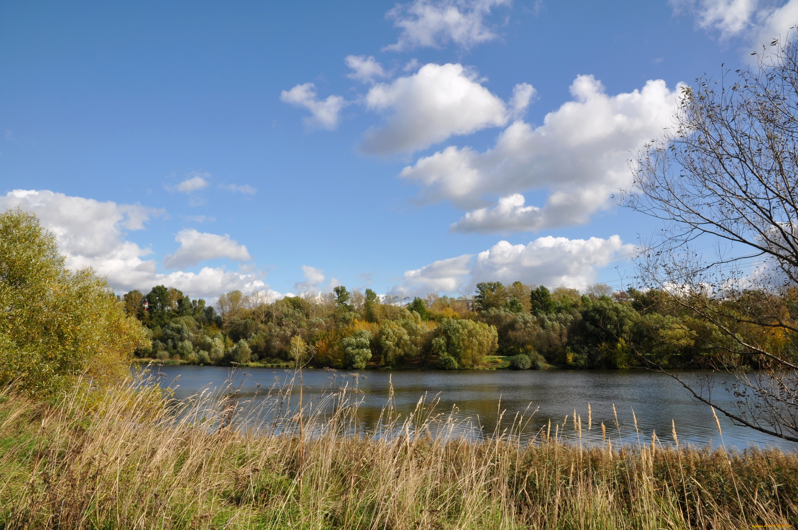 природа, реки, озера, берег, река