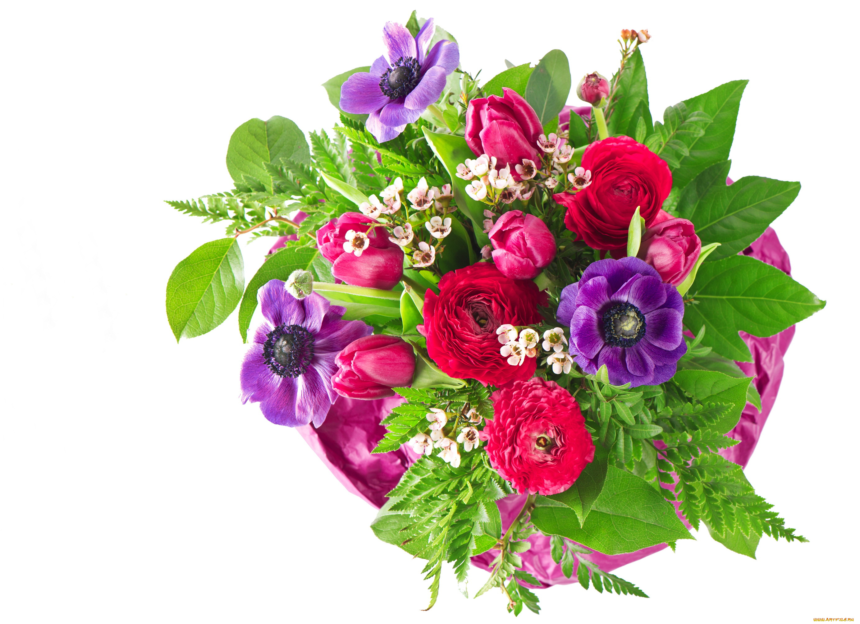 цветы, букеты, композиции, букет