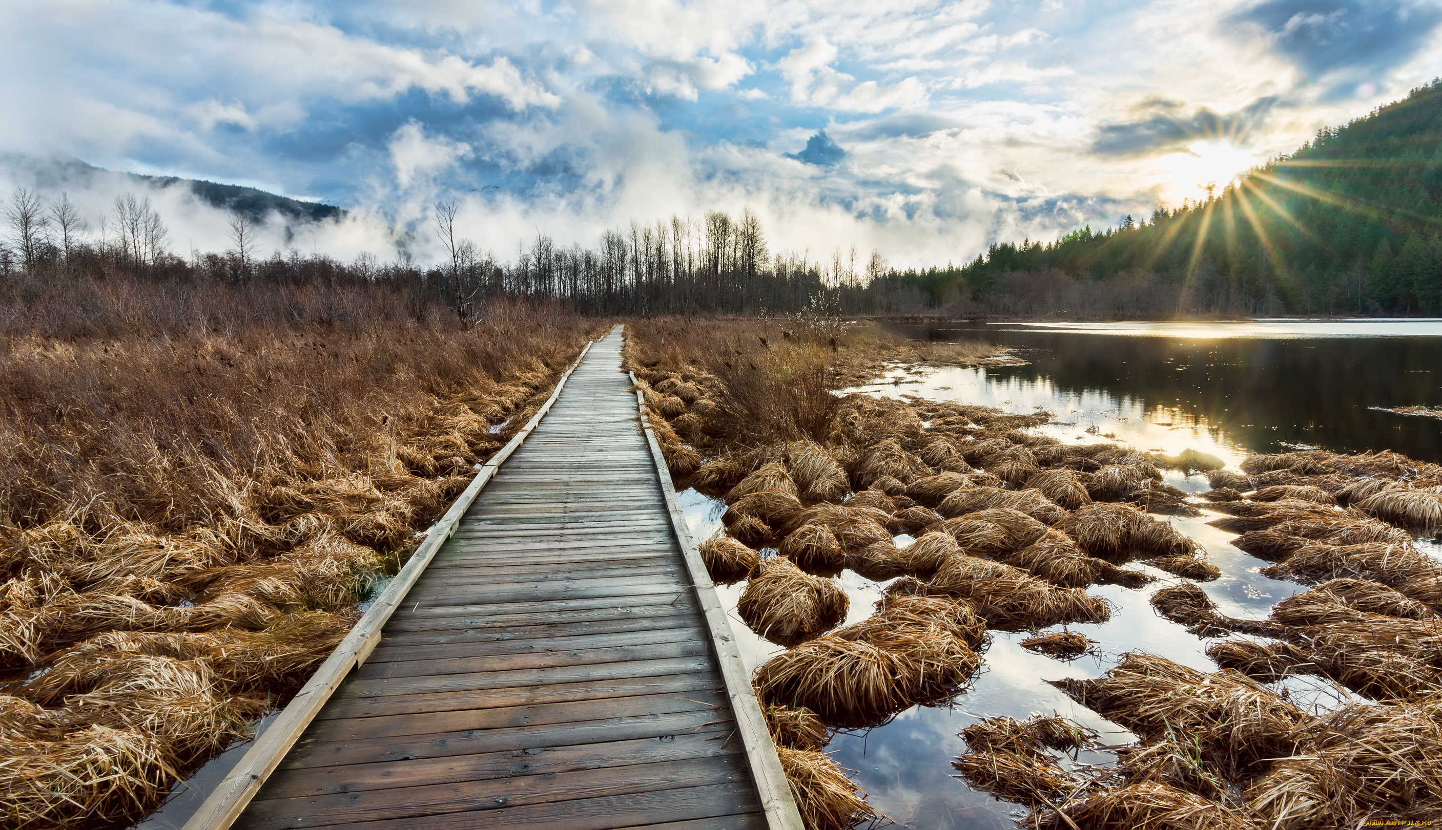 mile, lake, ontario, canada, природа, восходы, закаты, озеро, лес, мостик