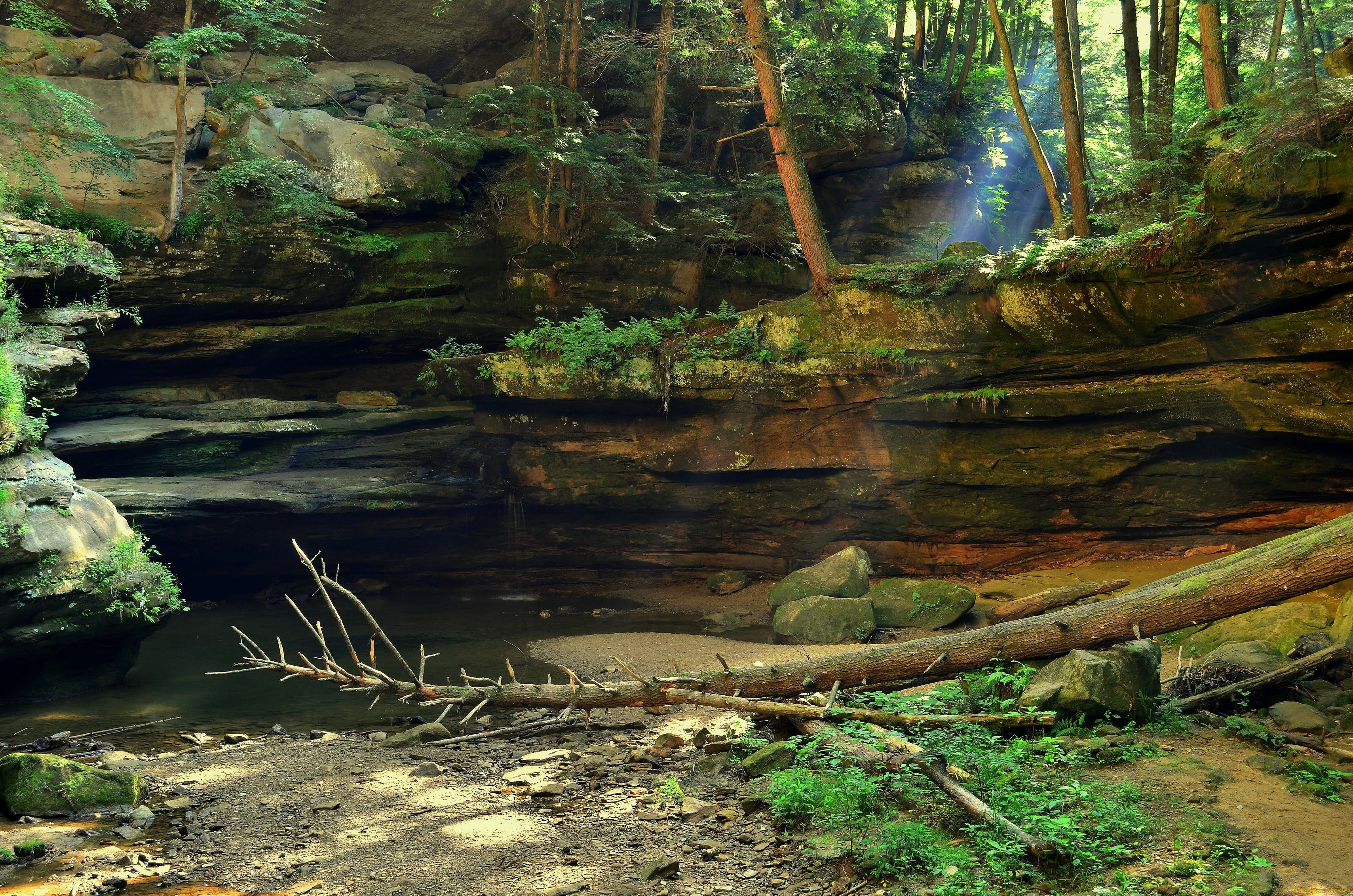 пейзаж, природа, лес, скалы, лучи