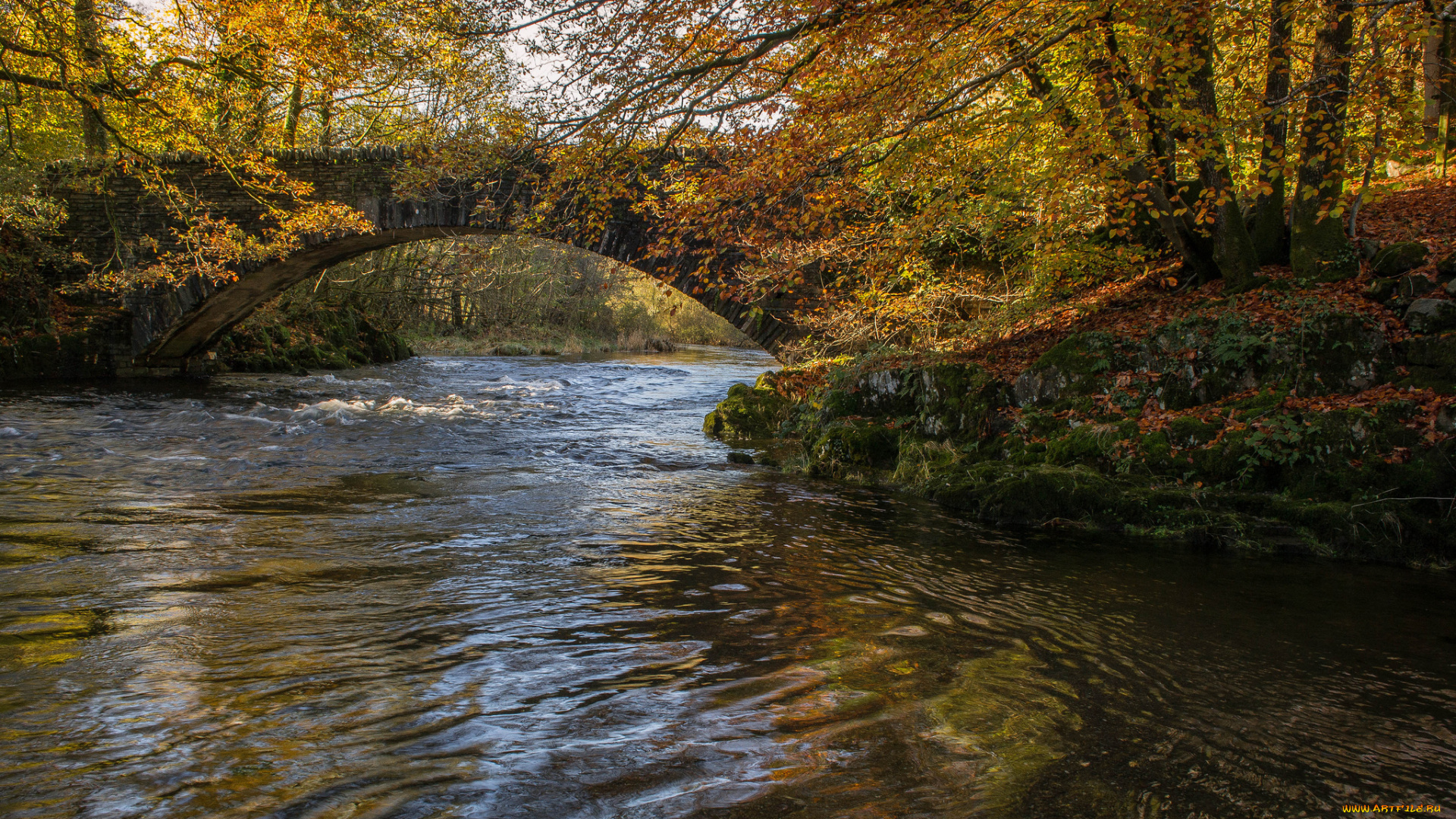 природа, парк, лес, арка, мост, река, осень, деревья