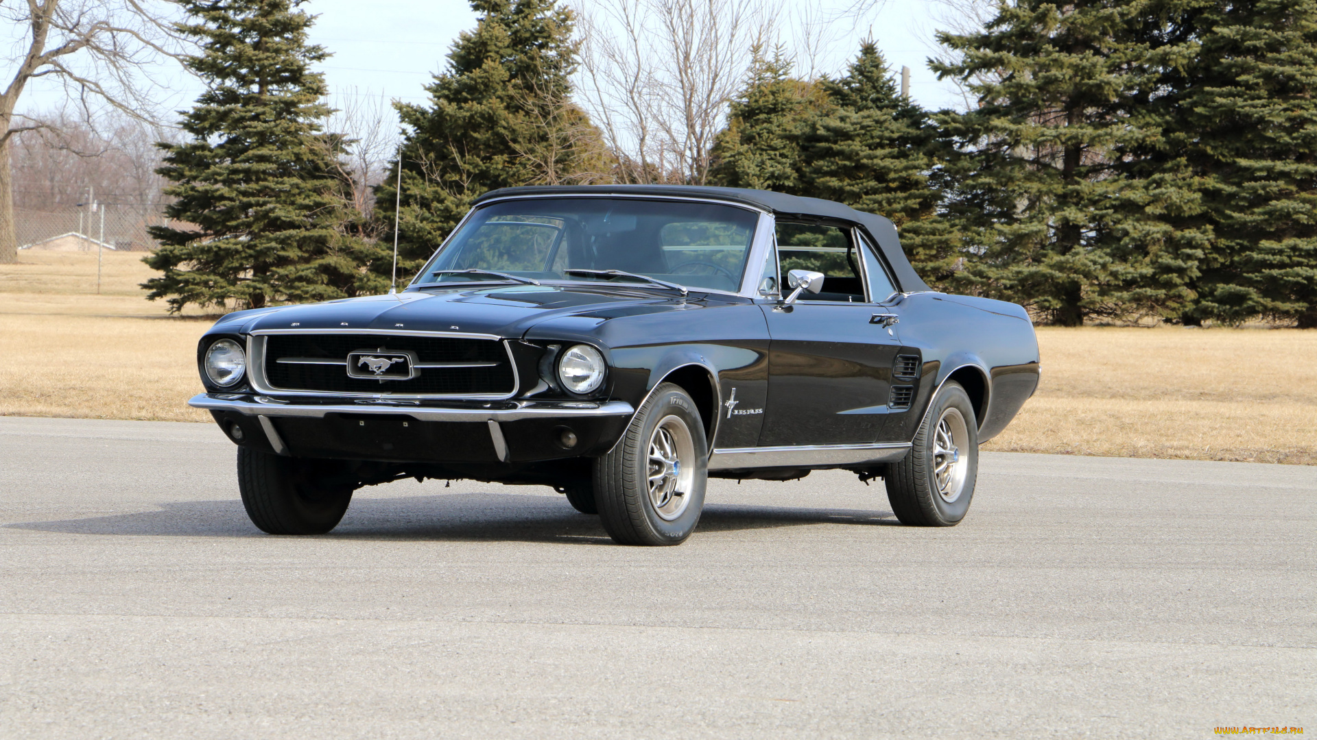 автомобили, mustang