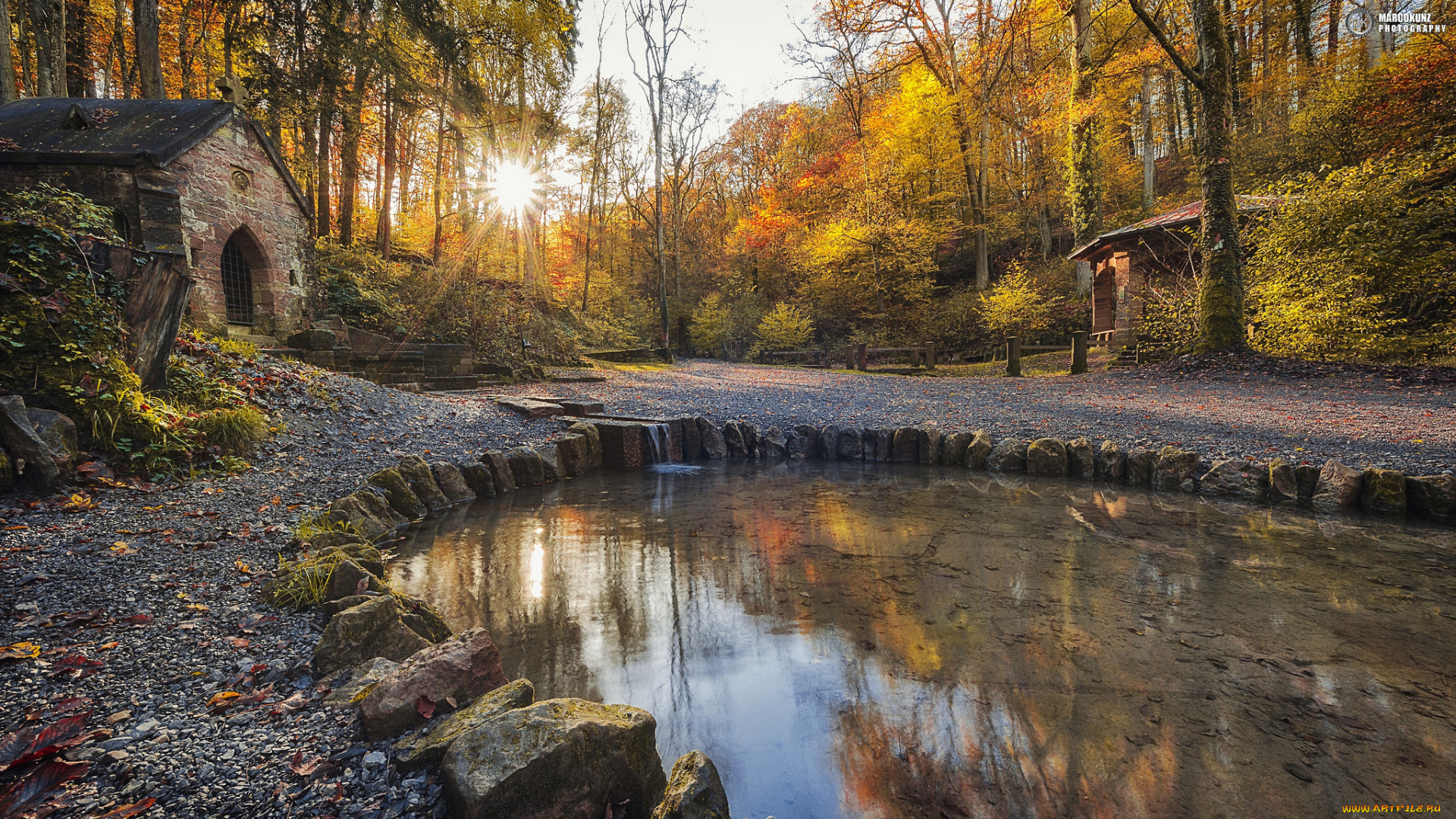 природа, реки, озера, лес, река