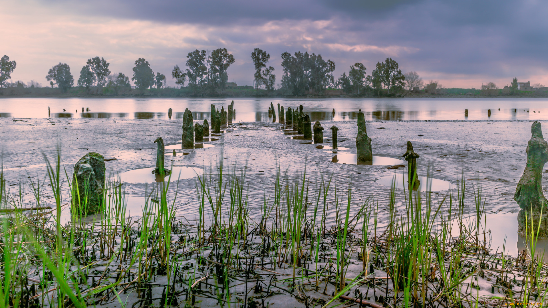 природа, реки, озера, лес, река