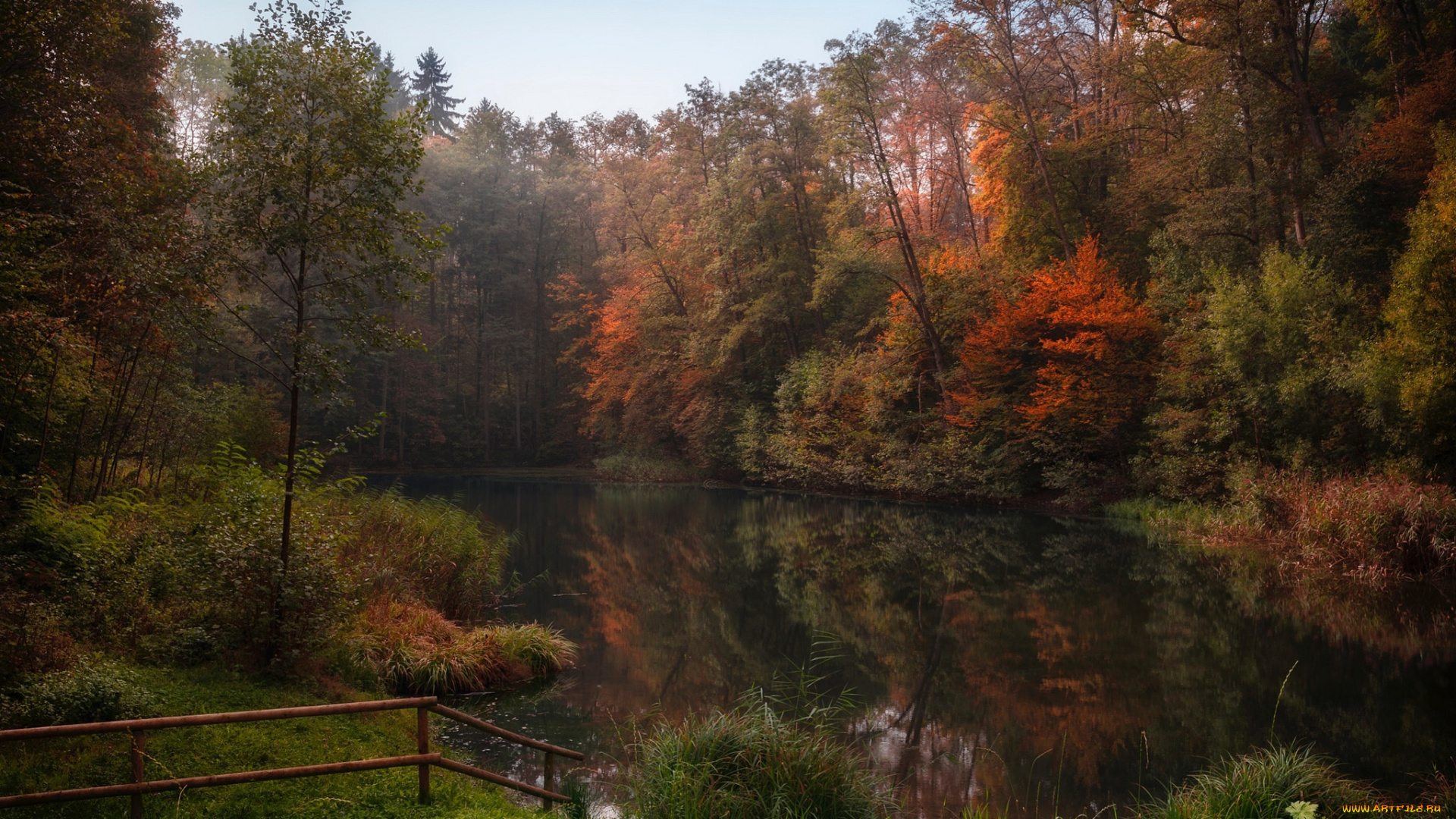 природа, реки, озера, река, лес