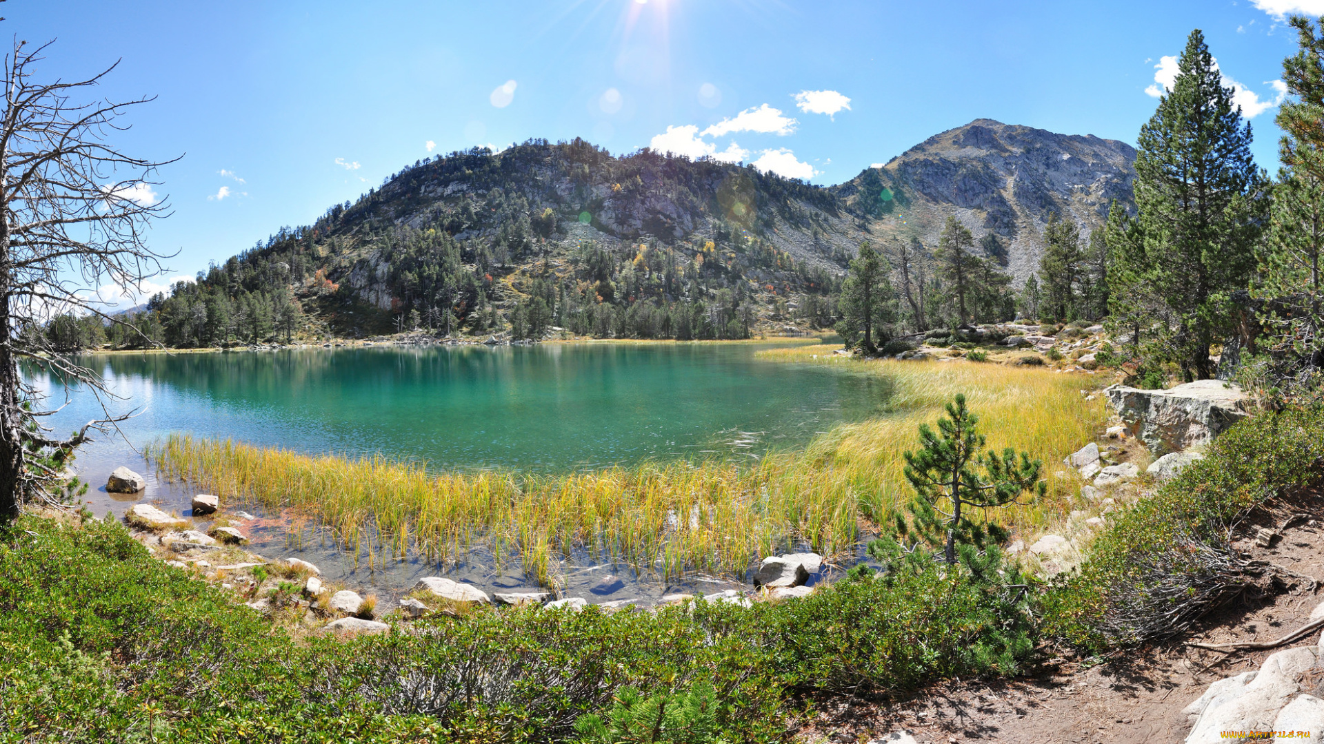 природа, реки, озера, река, лес