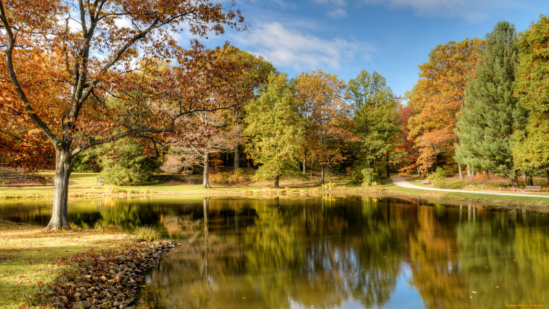 природа, реки, озера, река, лес