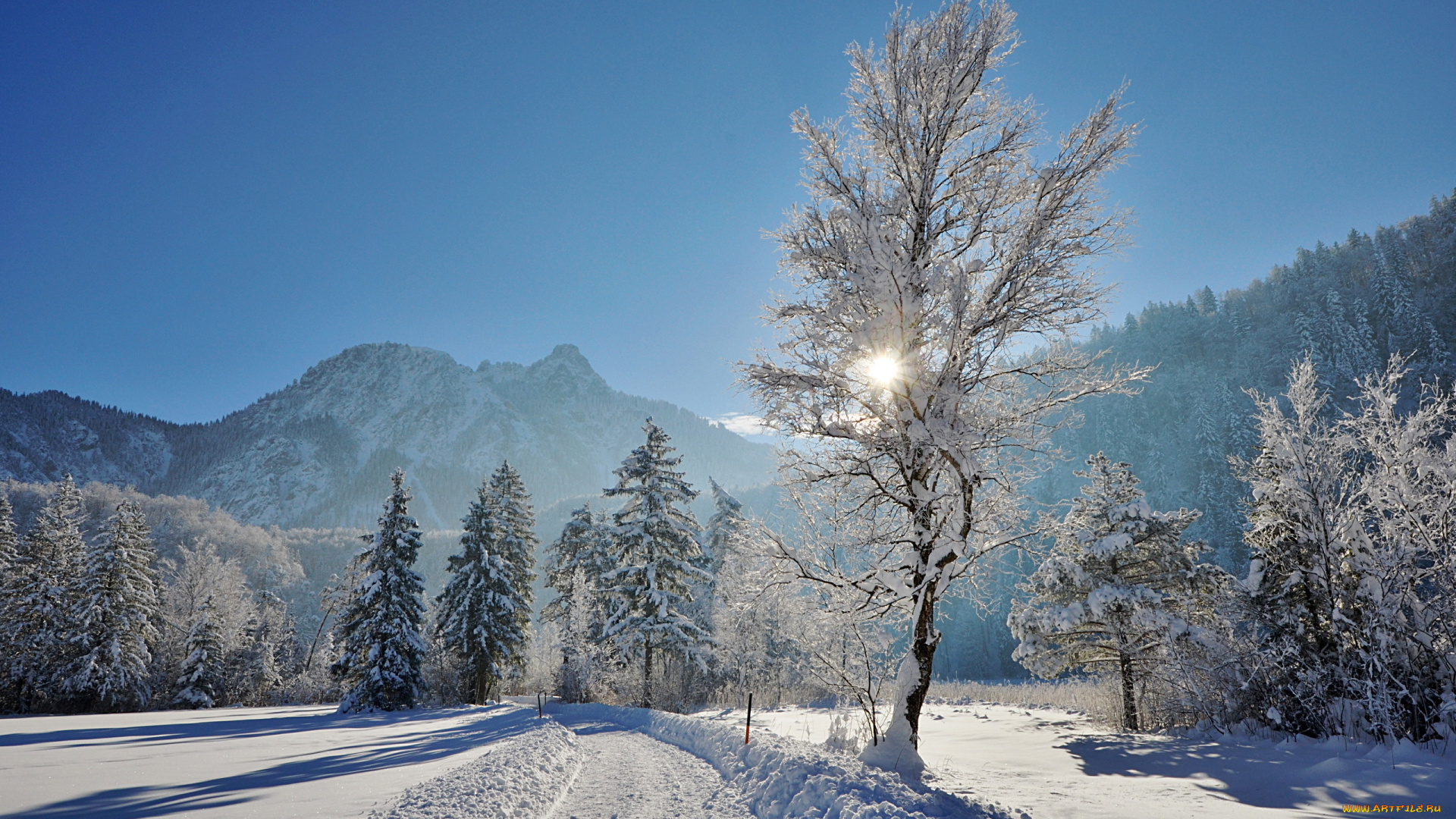 природа, зима, дорога, деревья, снег