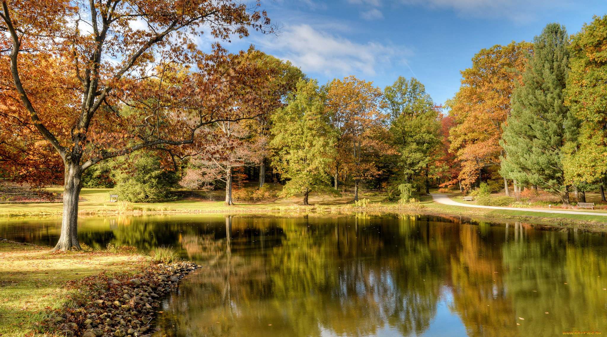 природа, реки, озера, река, лес