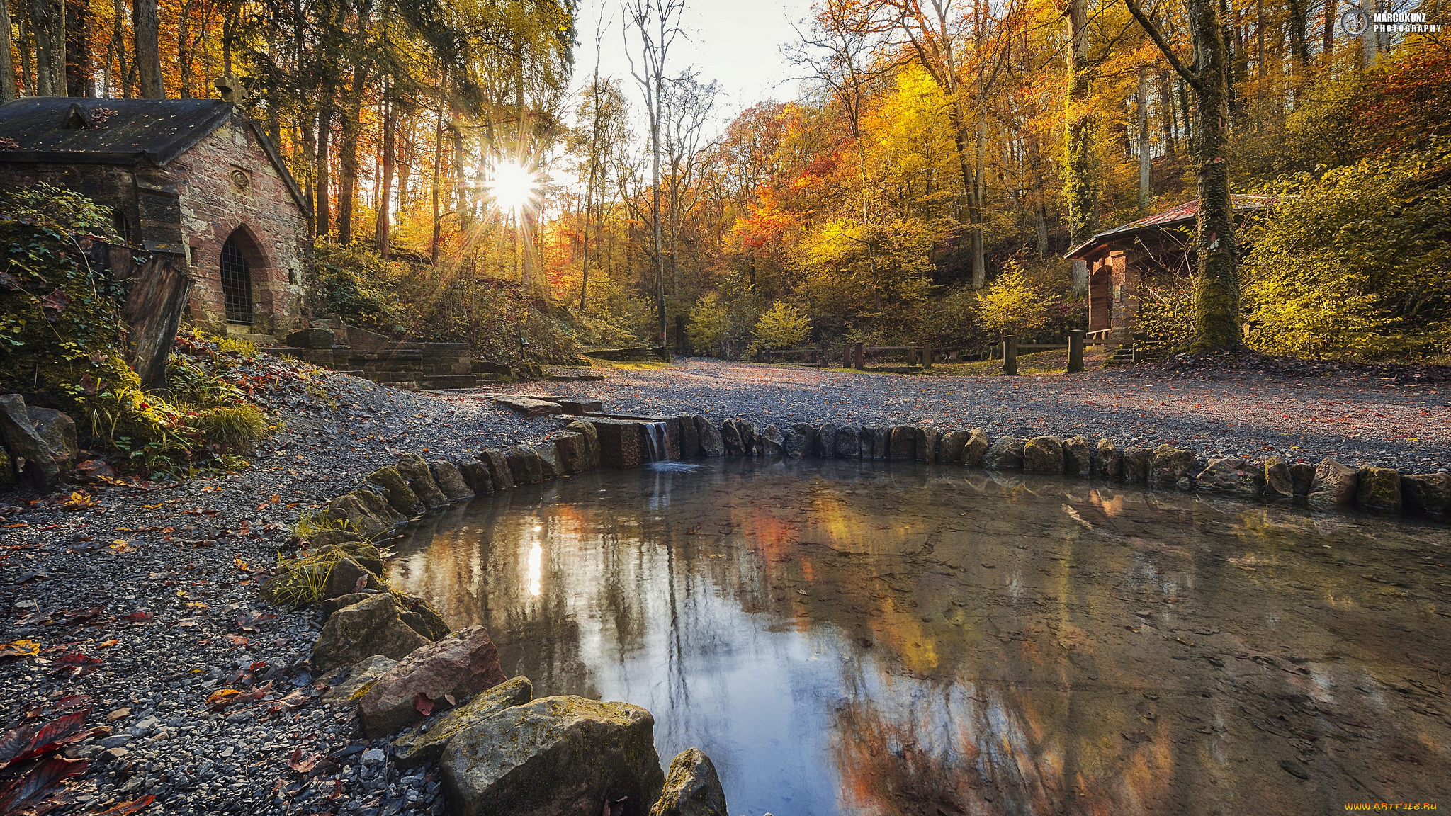 природа, реки, озера, лес, река