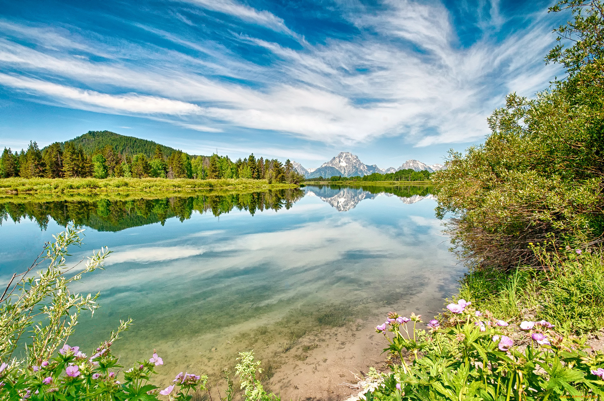 природа, реки, озера, лес, река