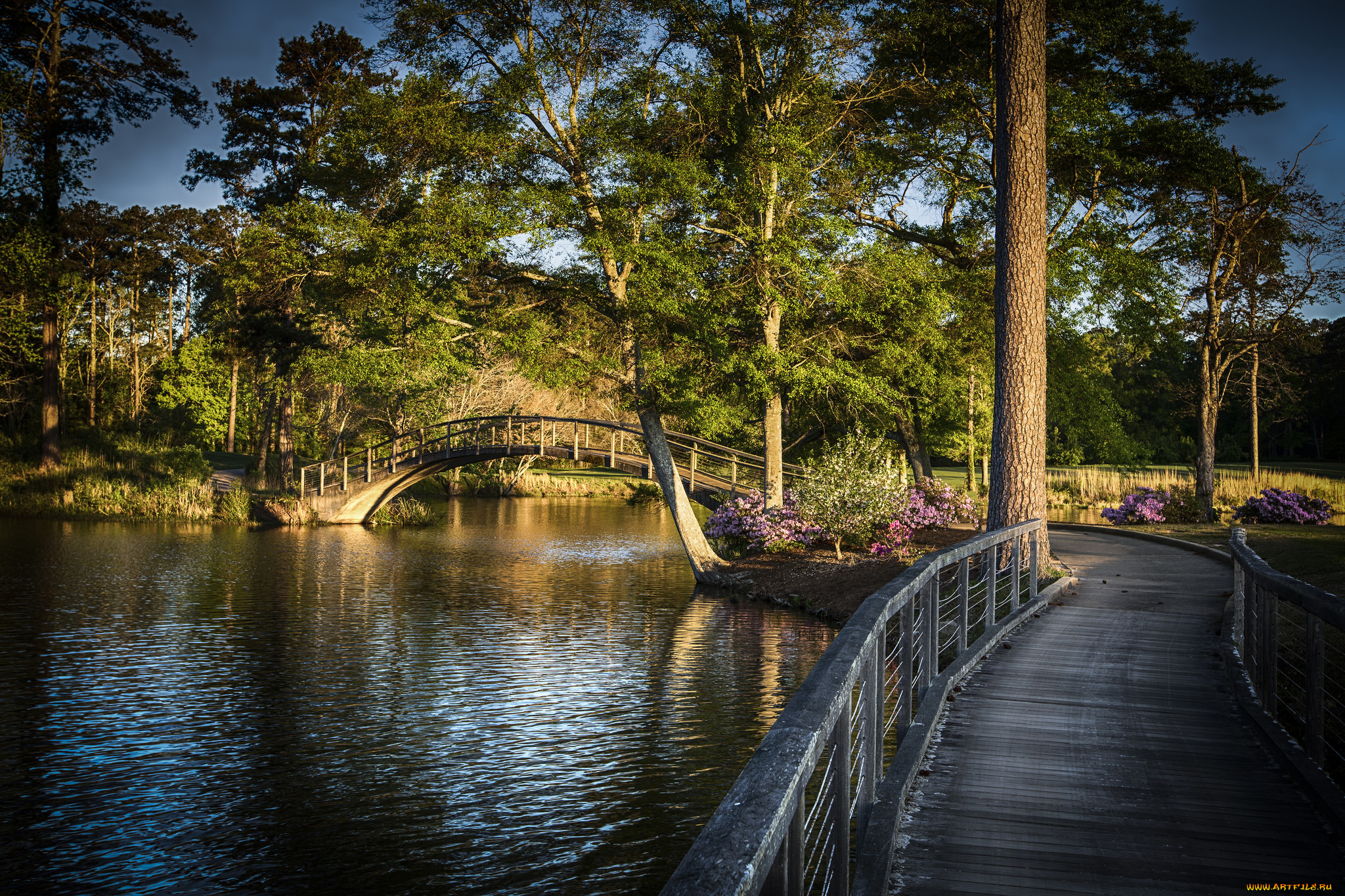 природа, реки, озера, река, лес