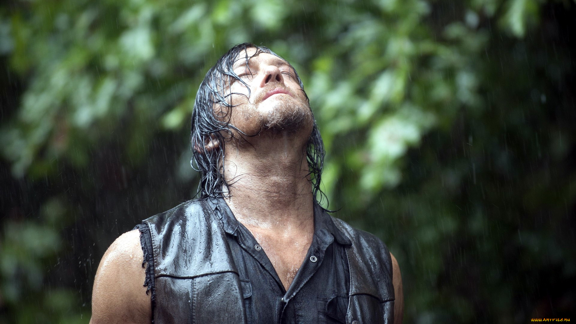 кино, фильмы, the, walking, dead, norman, reedus, daryl, dixon