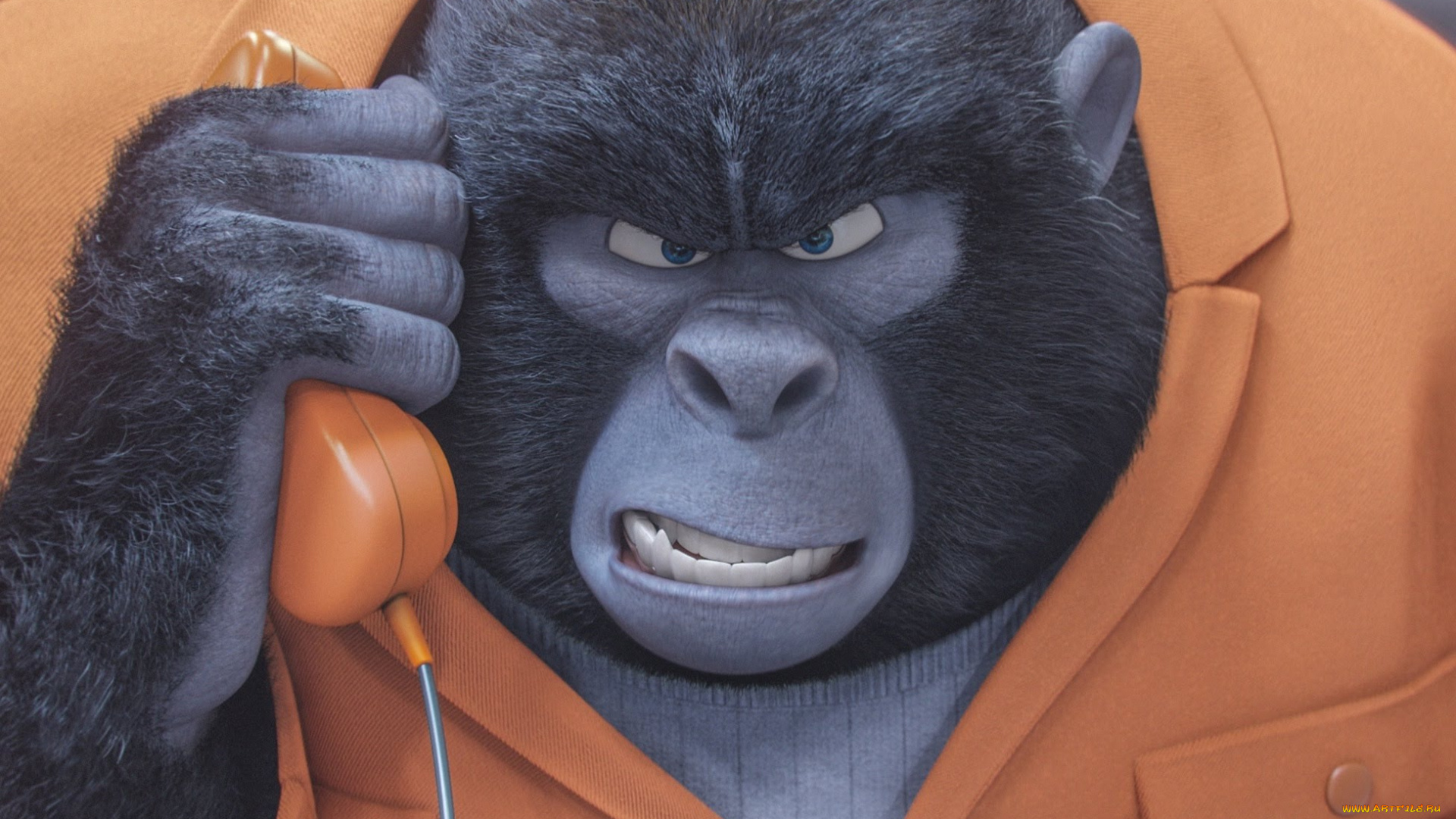 мультфильмы, sing, персонаж