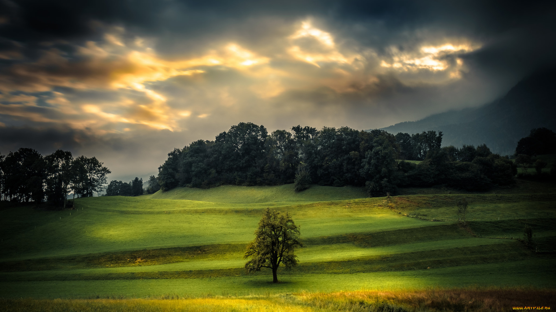 природа, пейзажи, простор